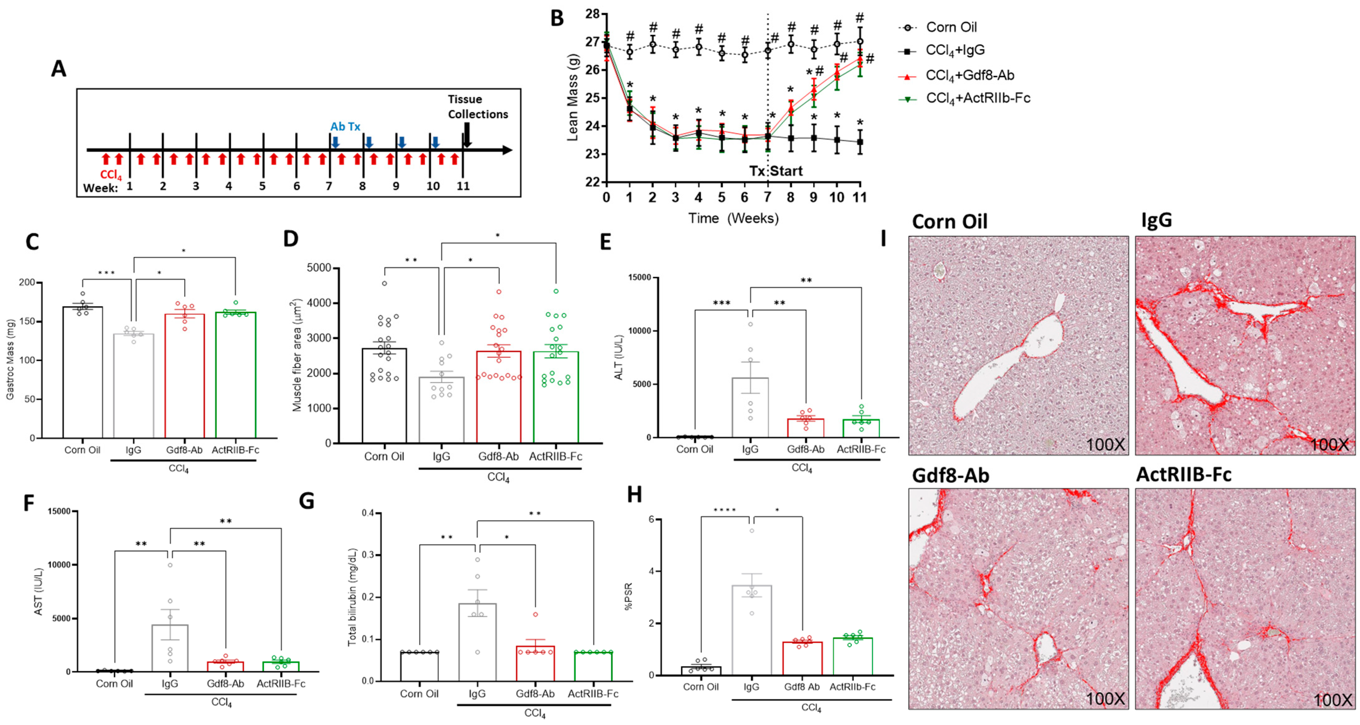 Biomedicines 11 01909 g007