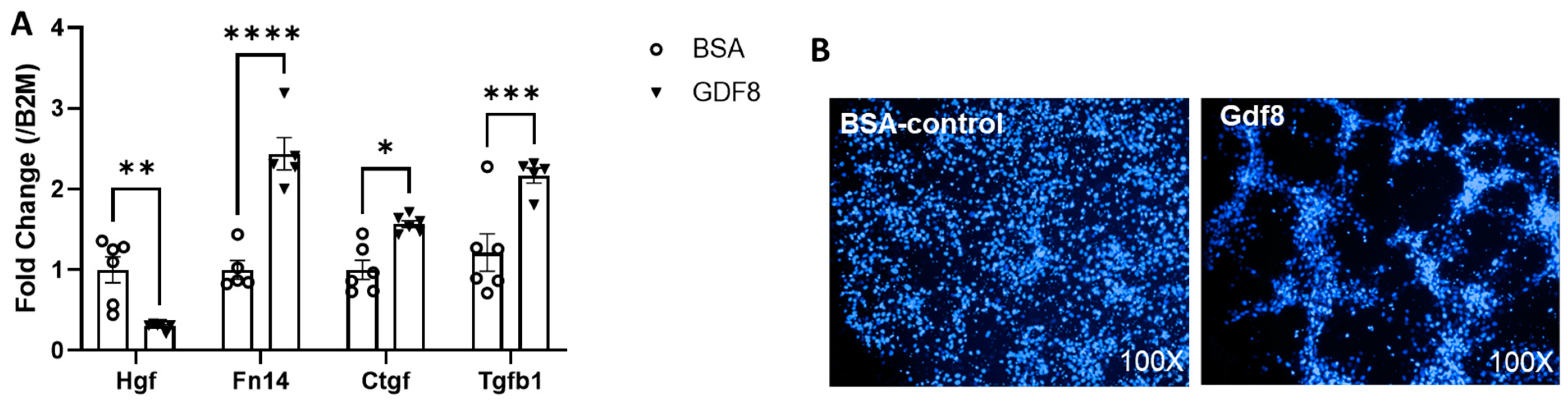 Biomedicines 11 01909 g008