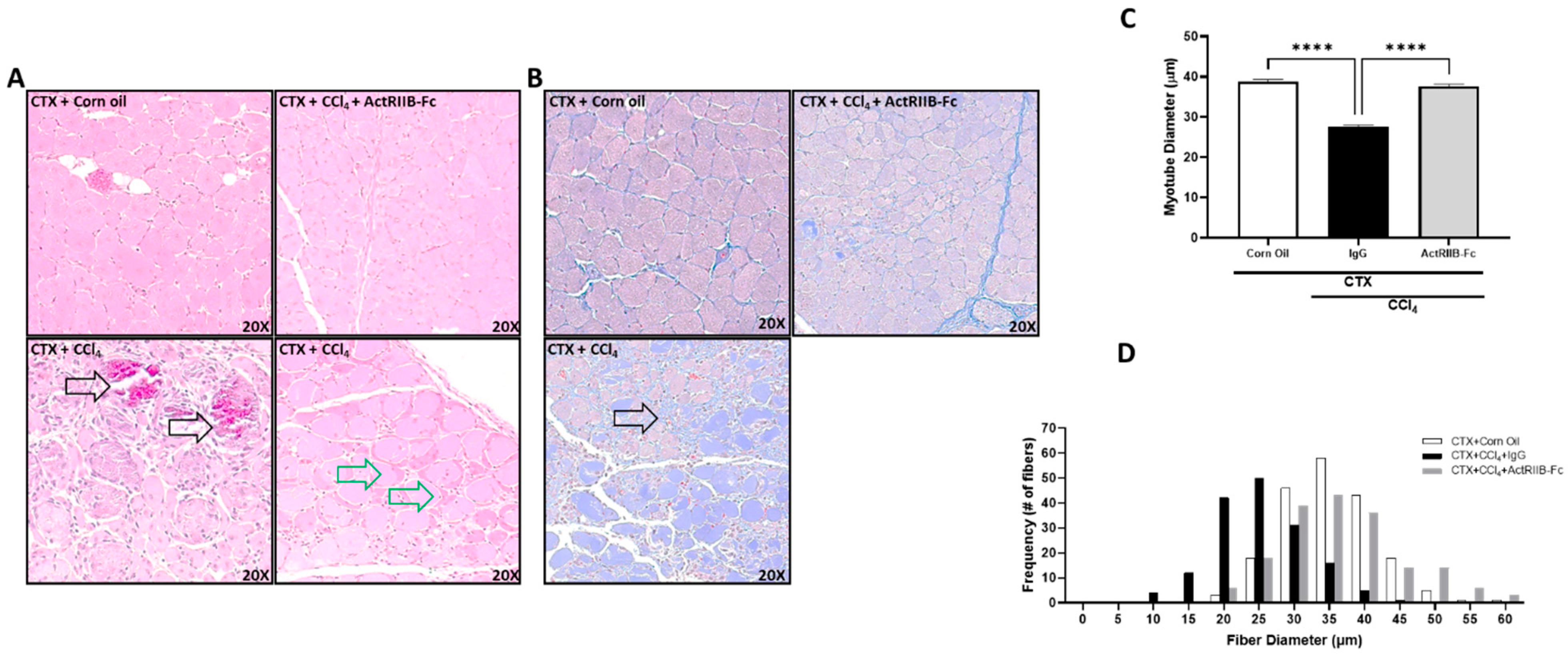 Biomedicines 11 01909 g009