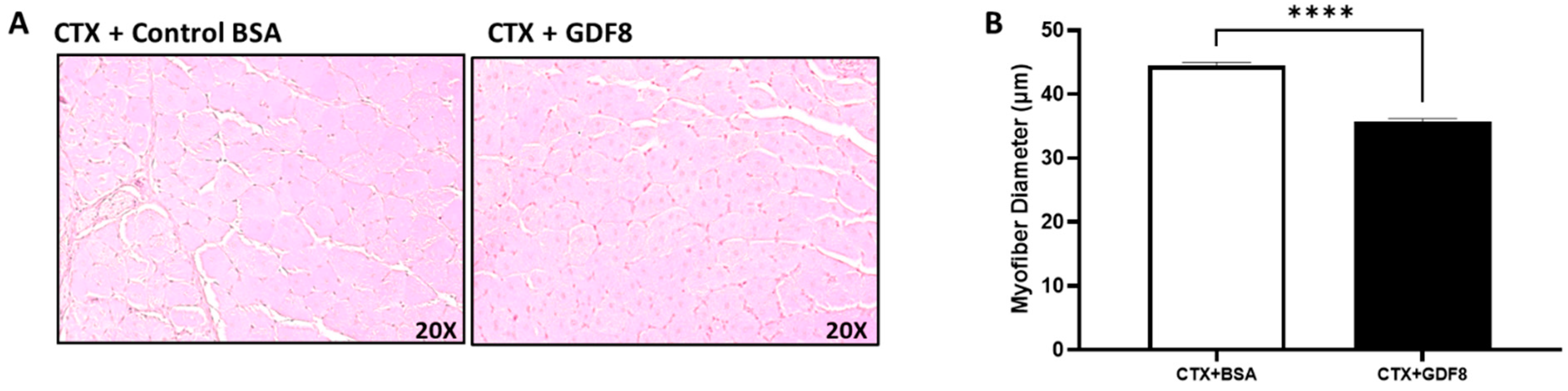 Biomedicines 11 01909 g010