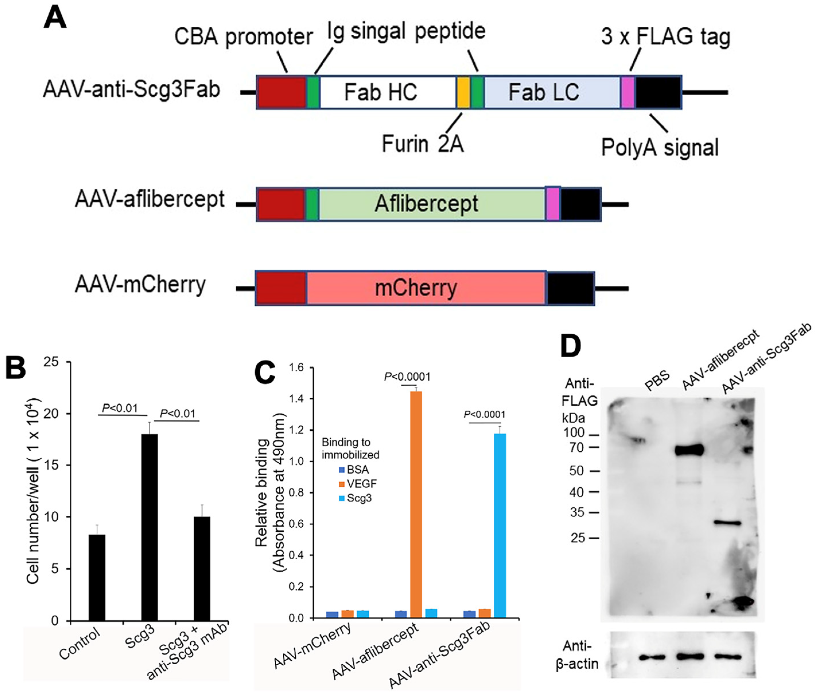 Biomedicines 11 01910 g001