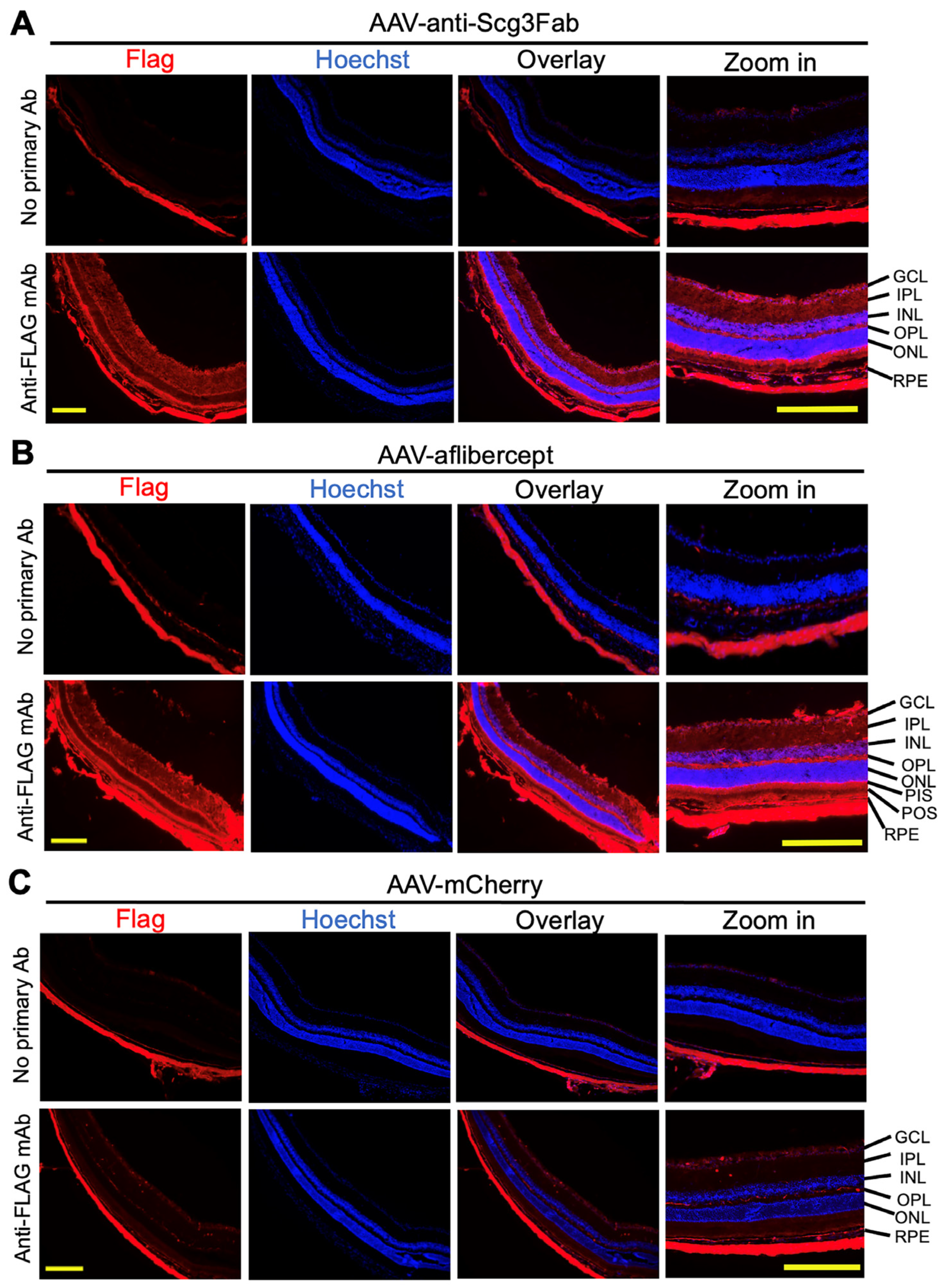 Biomedicines 11 01910 g002