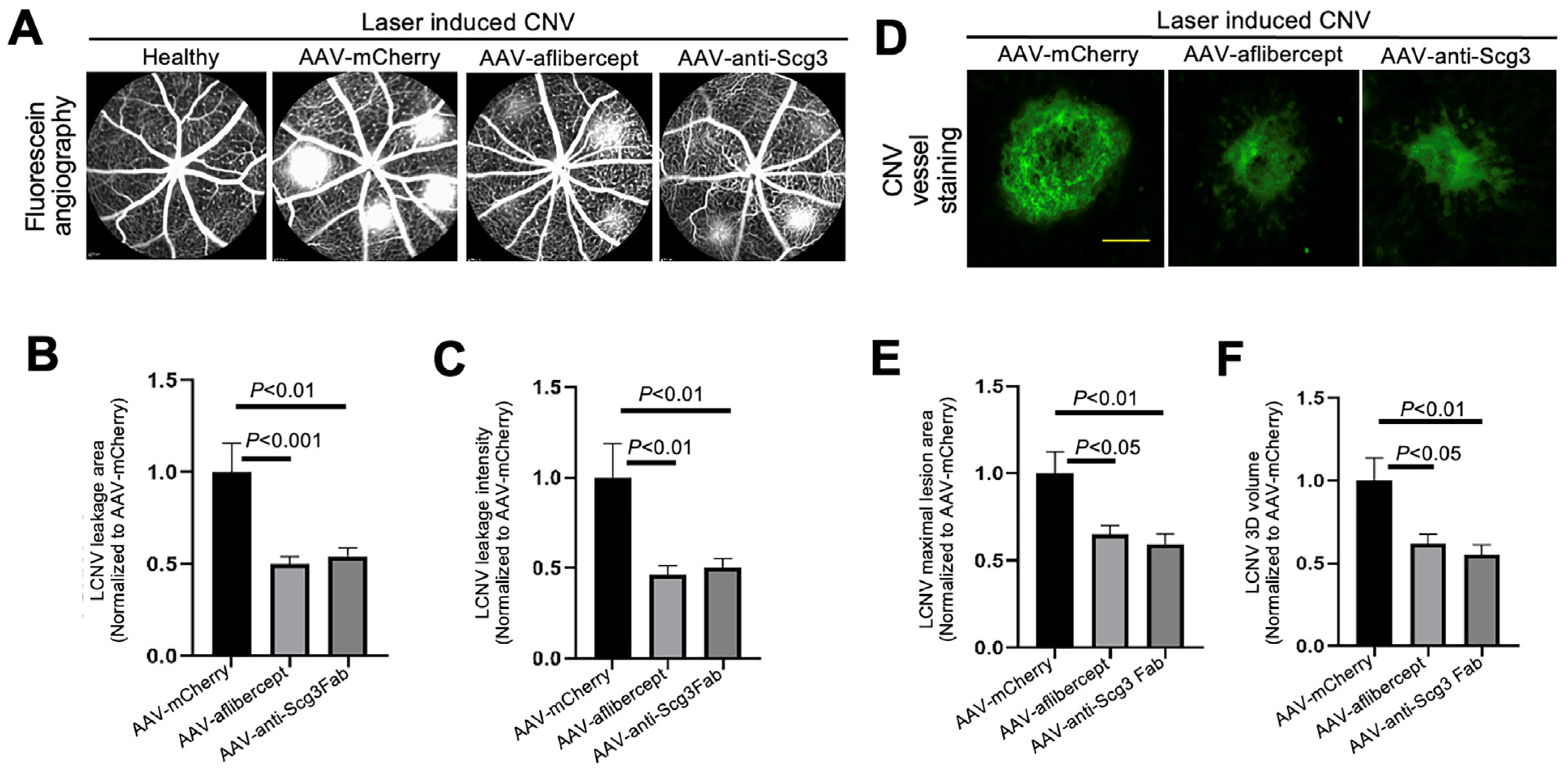 Biomedicines 11 01910 g003