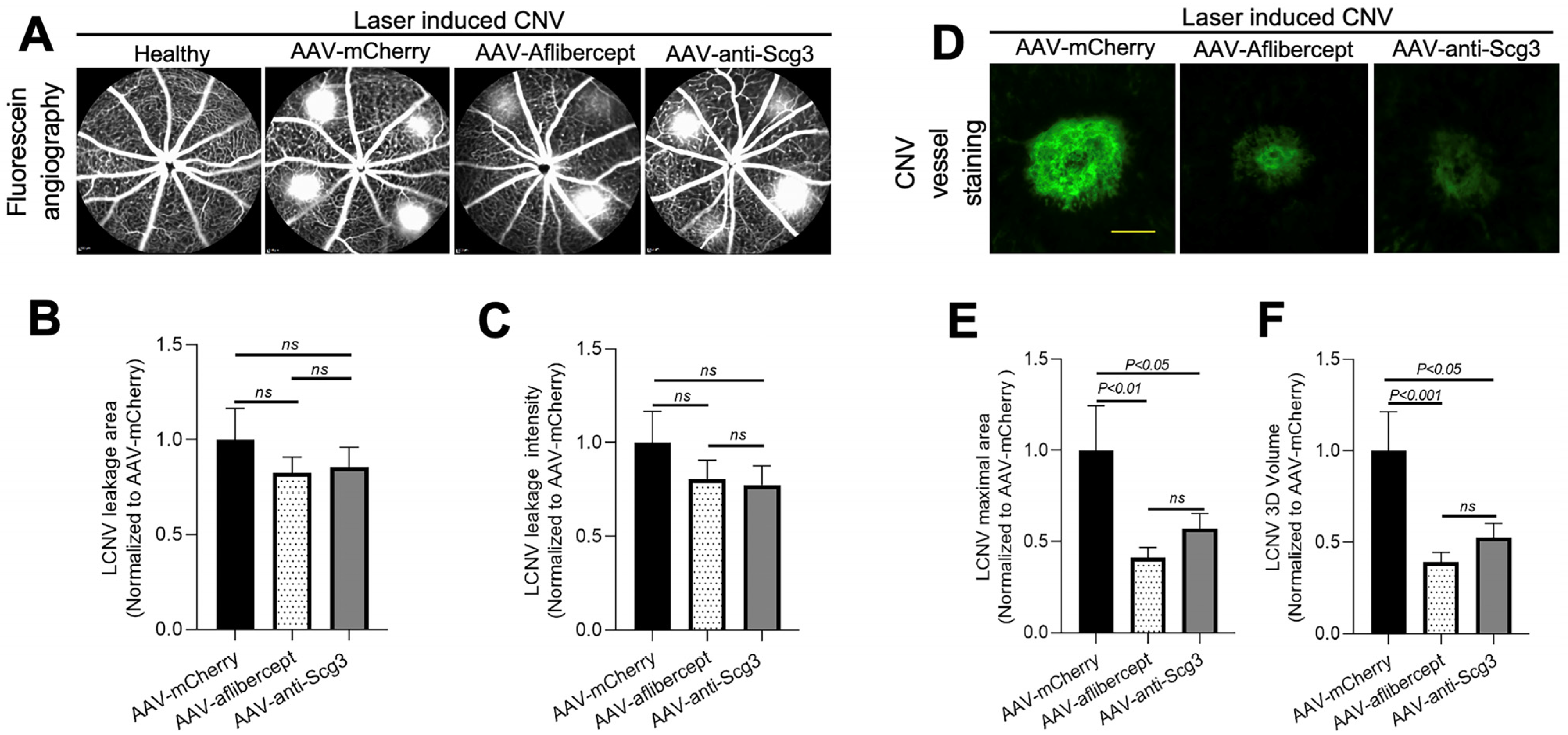 Biomedicines 11 01910 g004