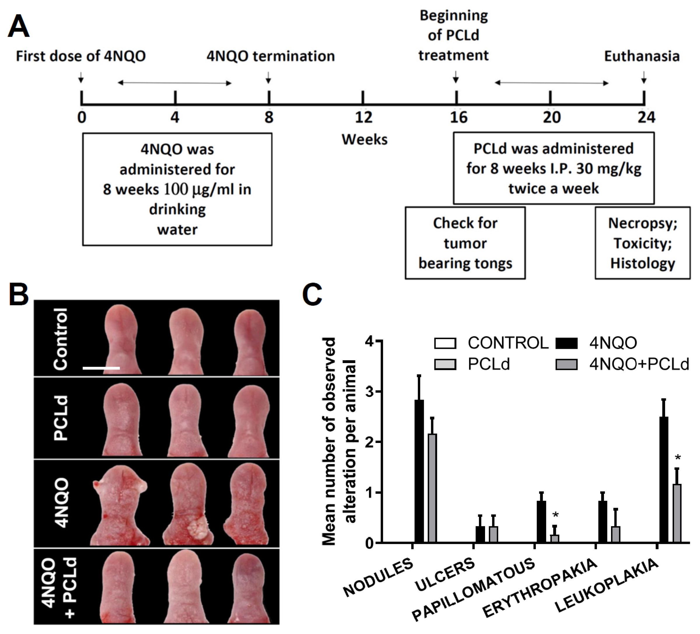 Biomedicines 11 01914 g001 Biomedicines 11 01914 g001
