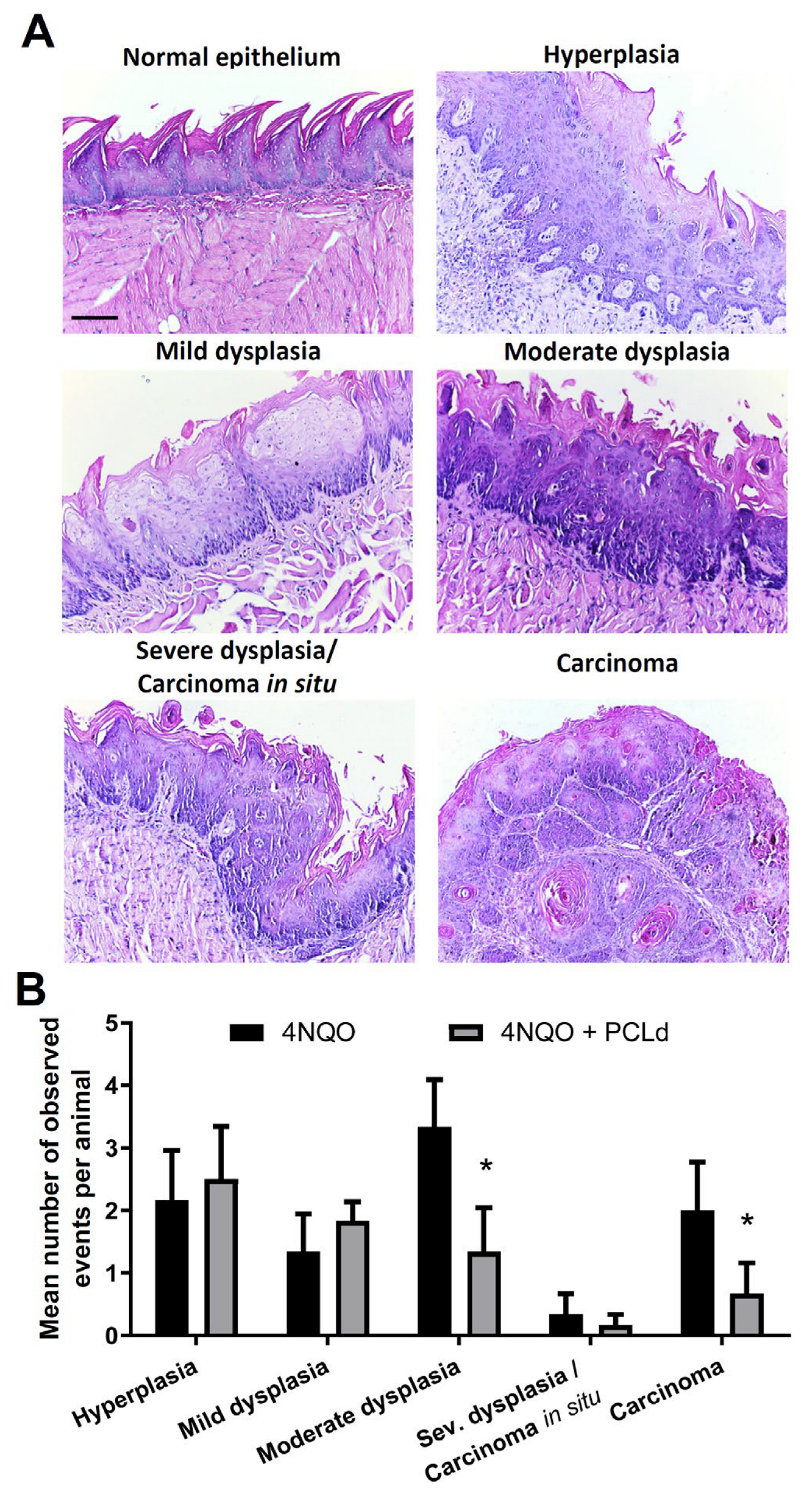 Biomedicines 11 01914 g002 Biomedicines 11 01914 g002