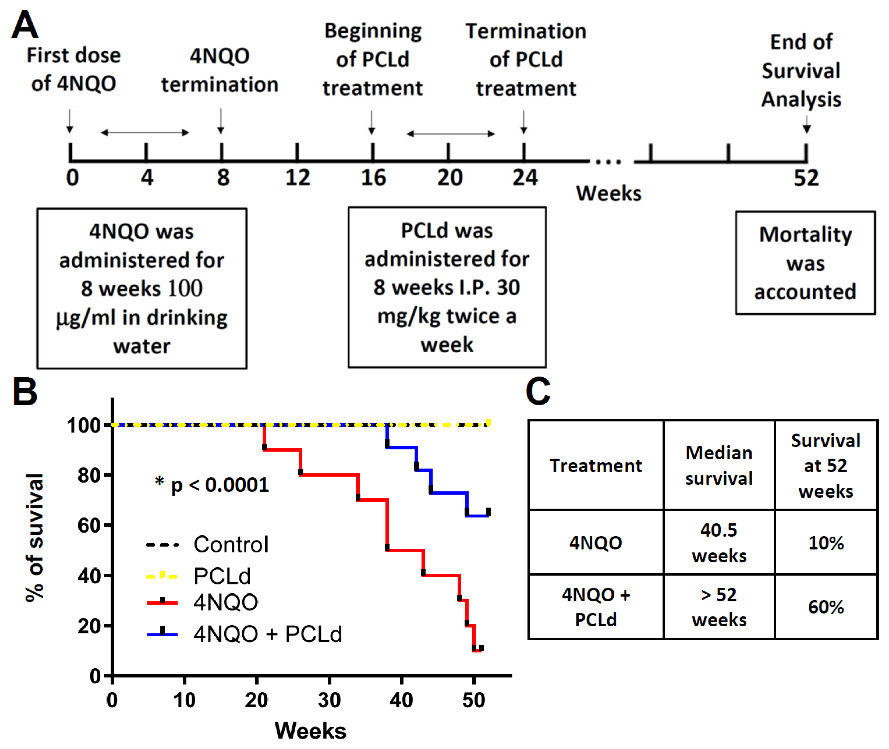 Biomedicines 11 01914 g003 Biomedicines 11 01914 g003