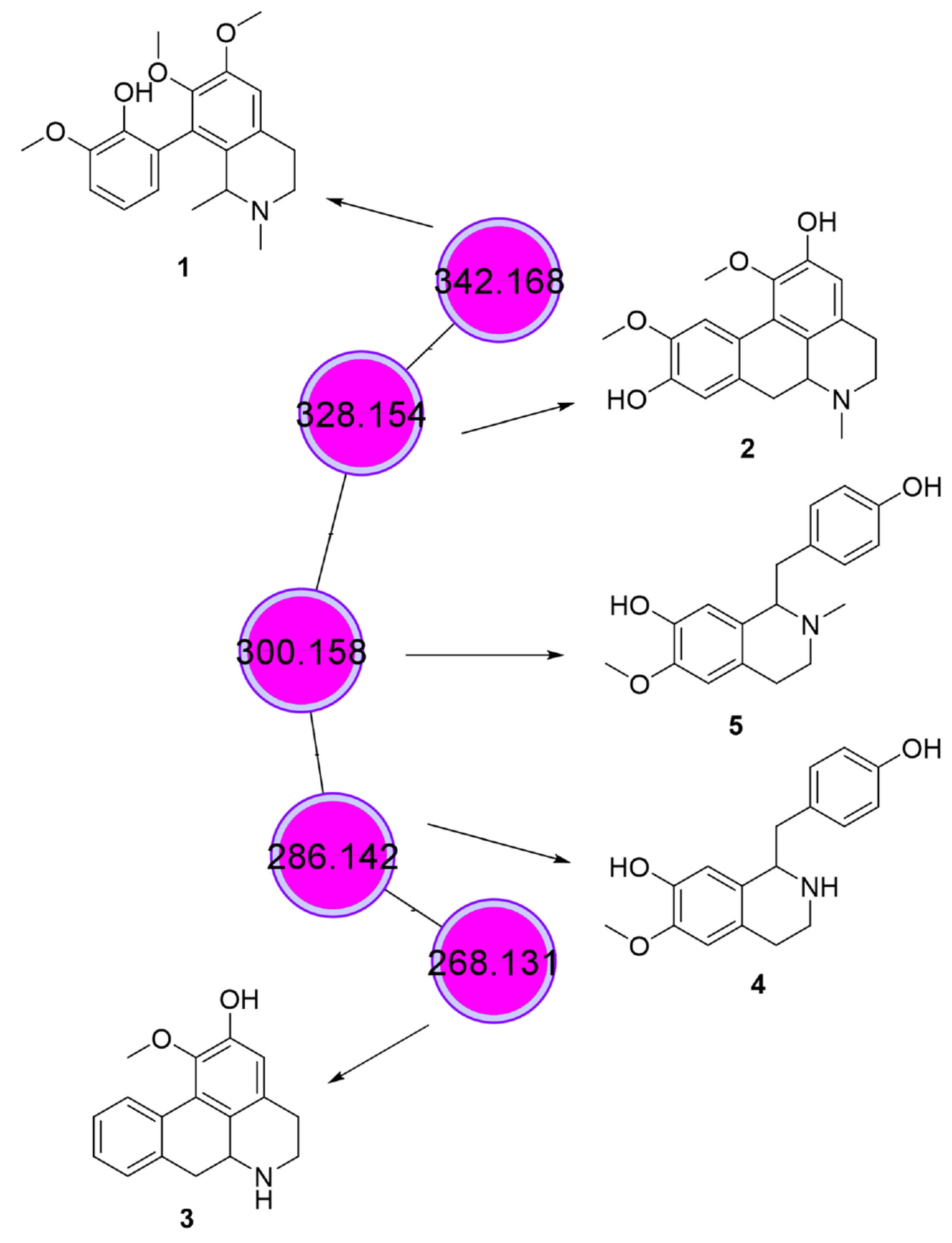 Biomedicines 11 01914 g005 Biomedicines 11 01914 g005