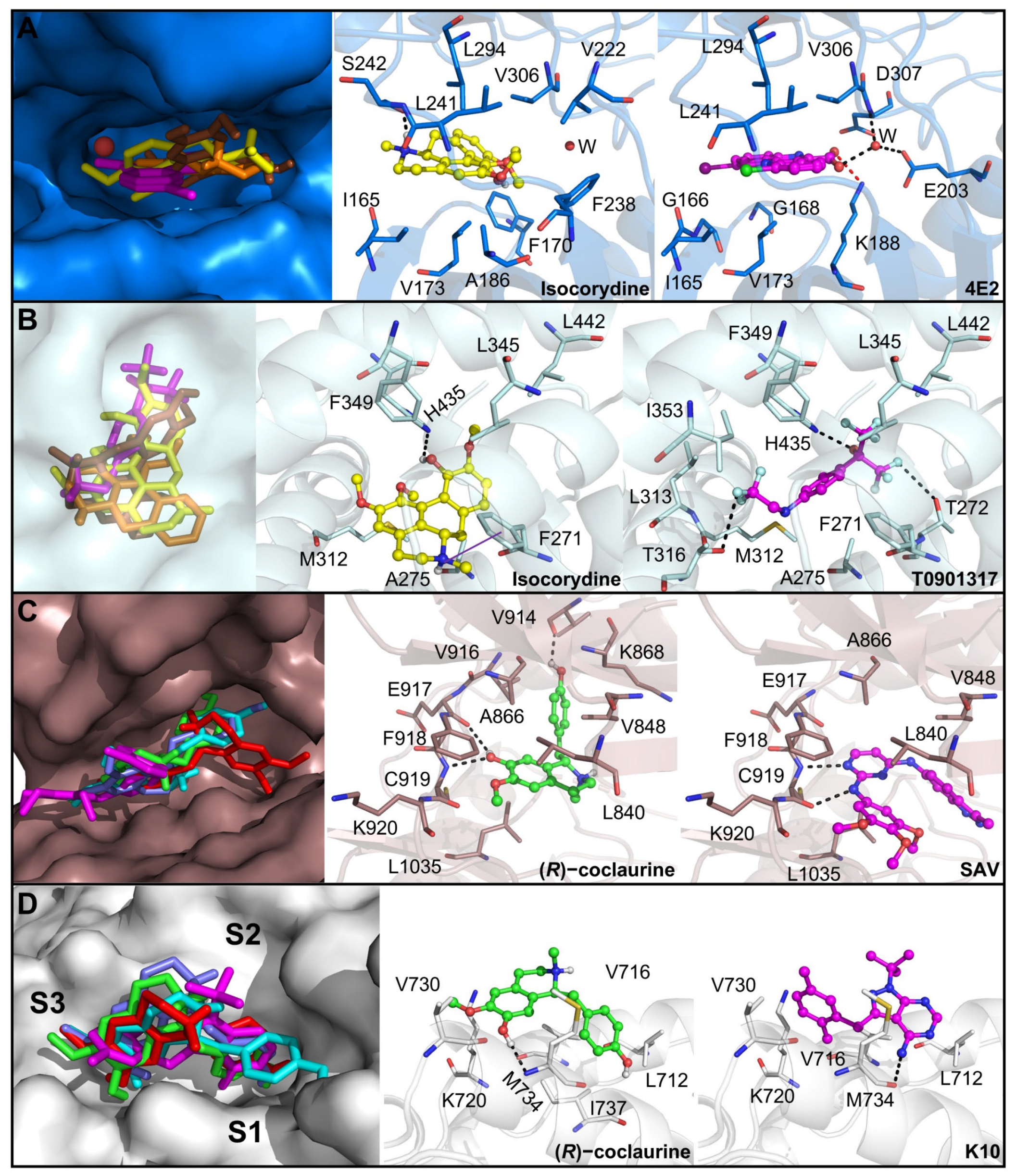 Biomedicines 11 01914 g007 Biomedicines 11 01914 g007