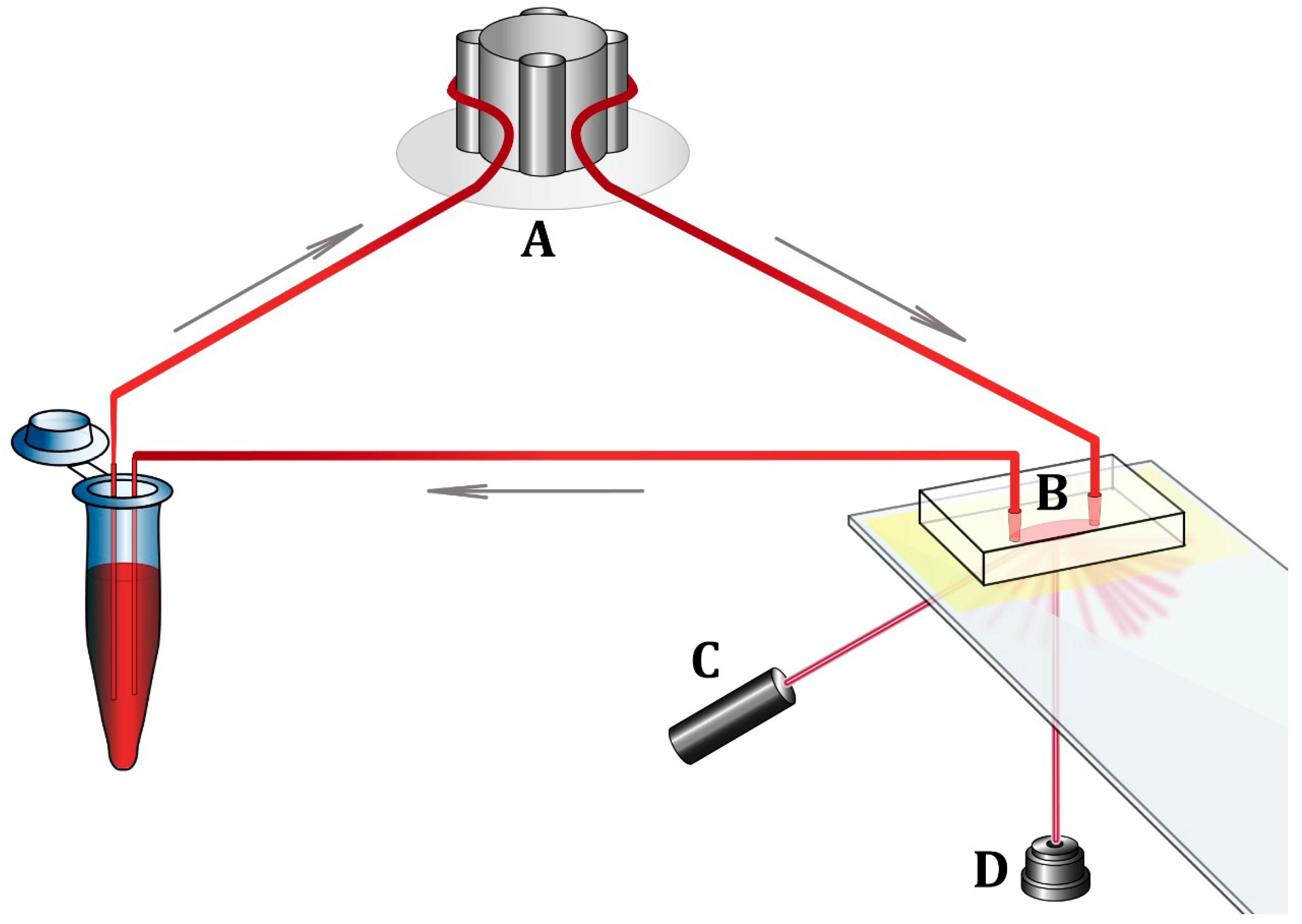 Biomedicines 11 01916 g001