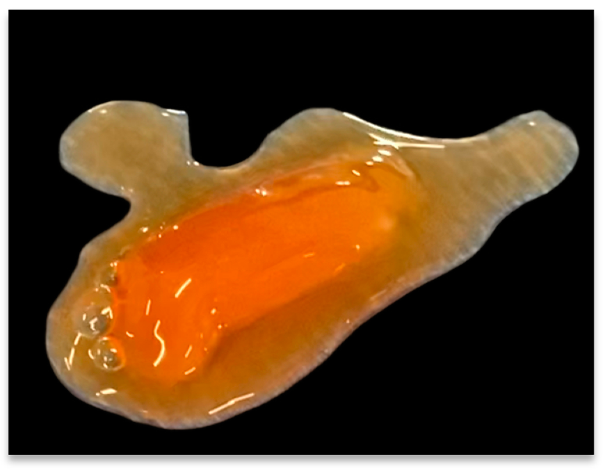 Biomedicines 11 01922 g001