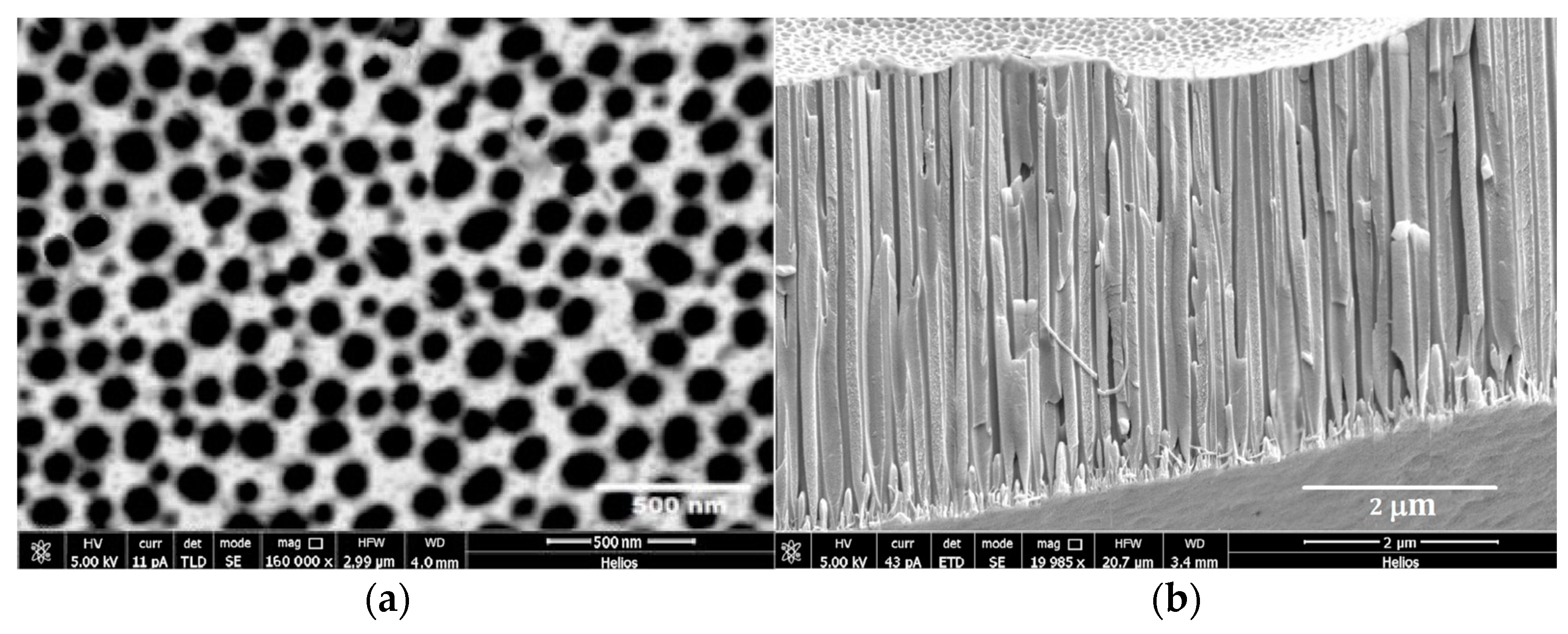 Biomedicines 11 01926 g001 Biomedicines 11 01926 g001