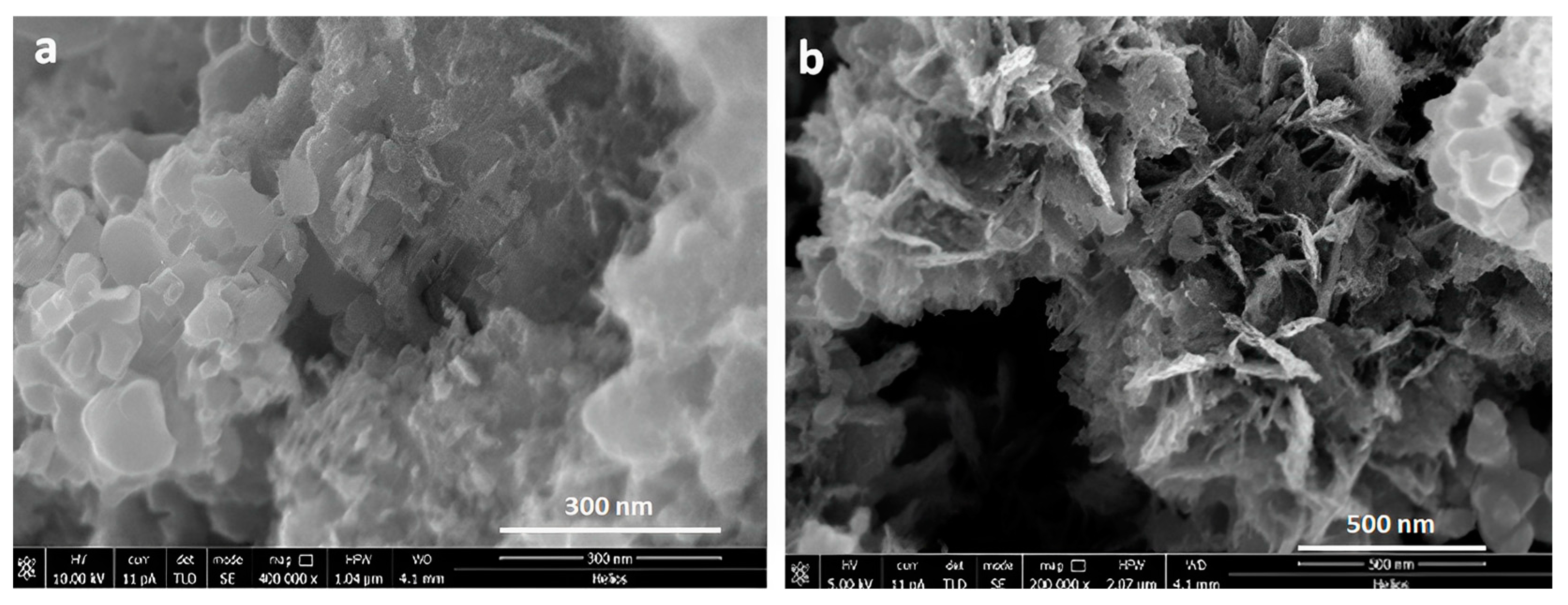 Biomedicines 11 01926 g002 Biomedicines 11 01926 g002