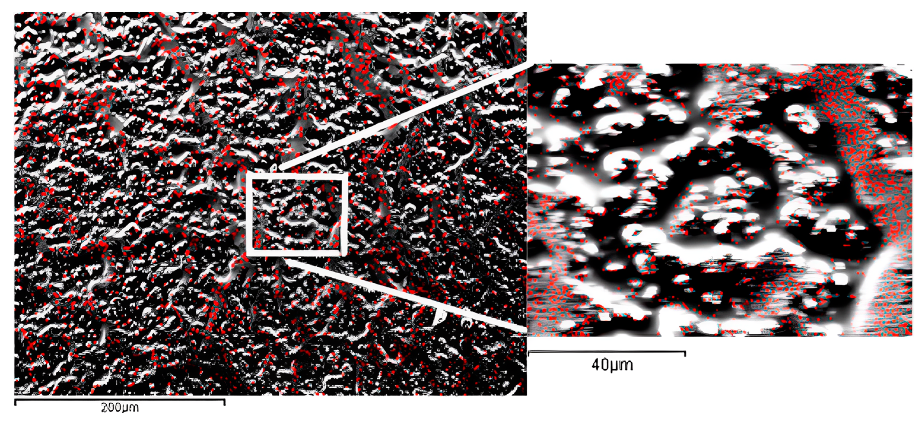 Biomedicines 11 01926 g007 Biomedicines 11 01926 g007