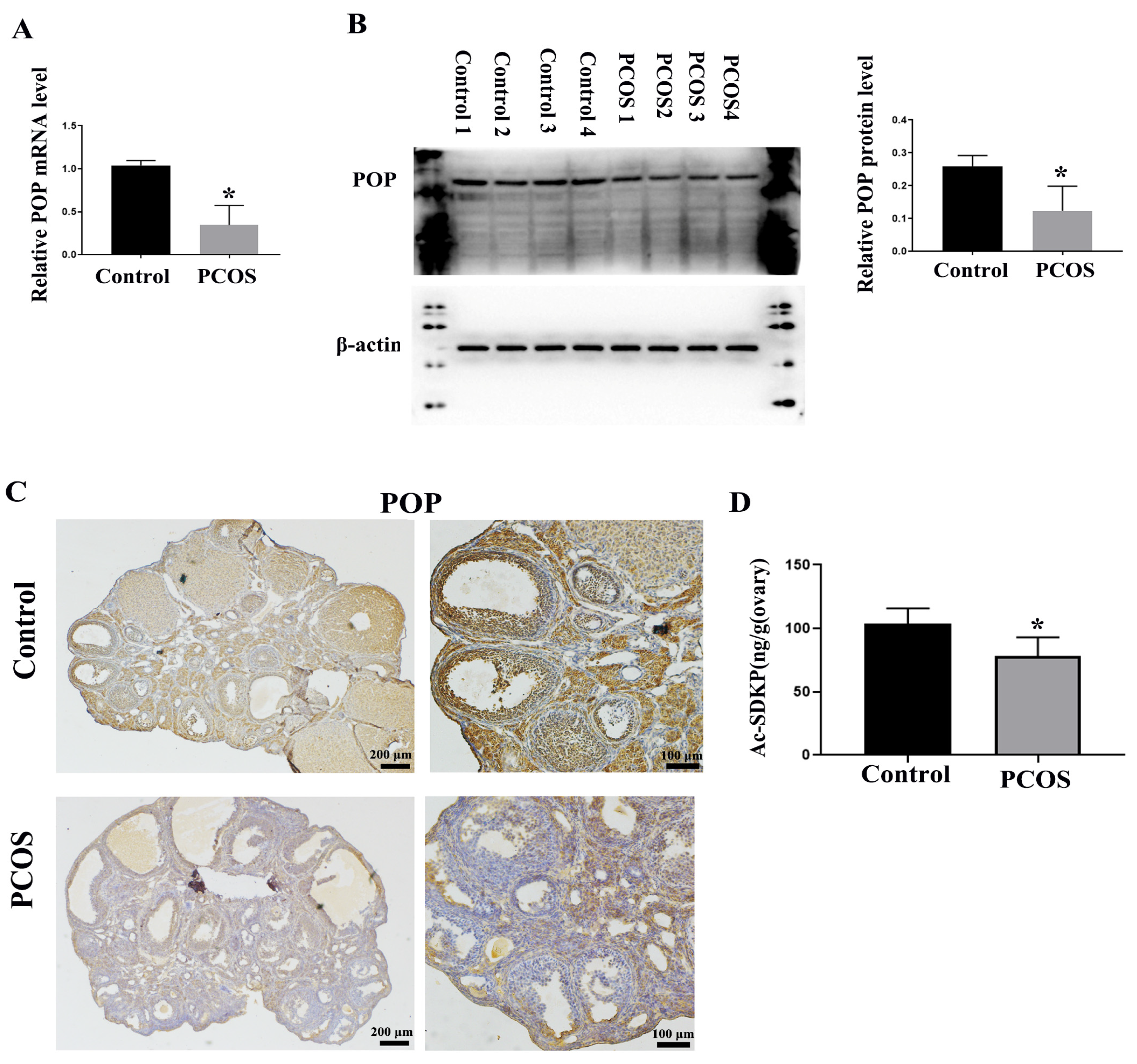 Biomedicines 11 01927 g003 Biomedicines 11 01927 g003