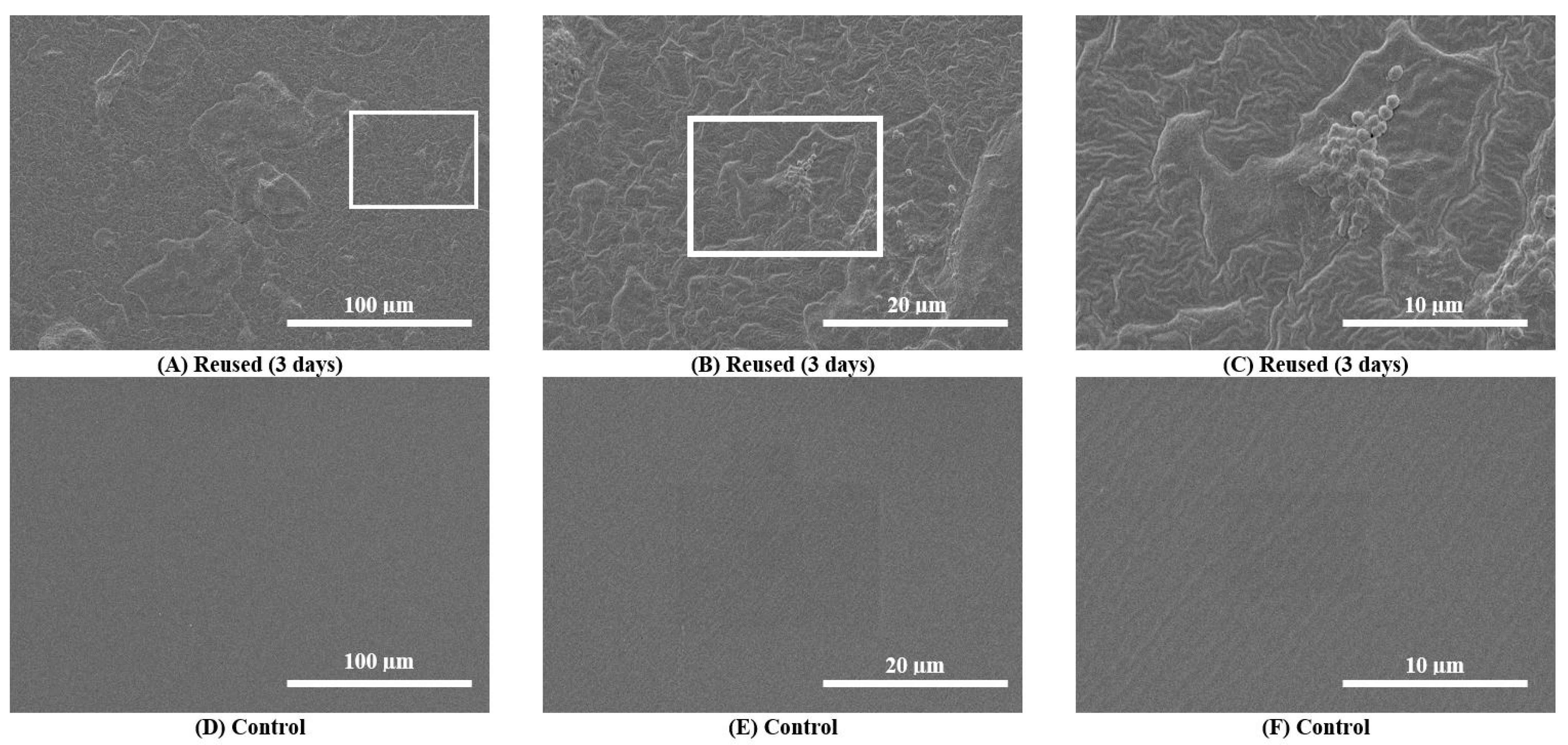 Biomedicines 11 01929 g002