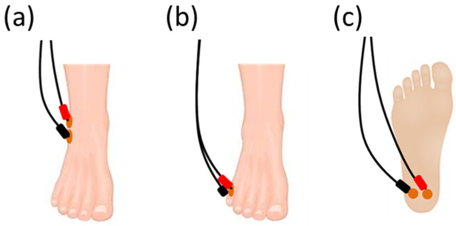 Biomedicines 11 01931 g001