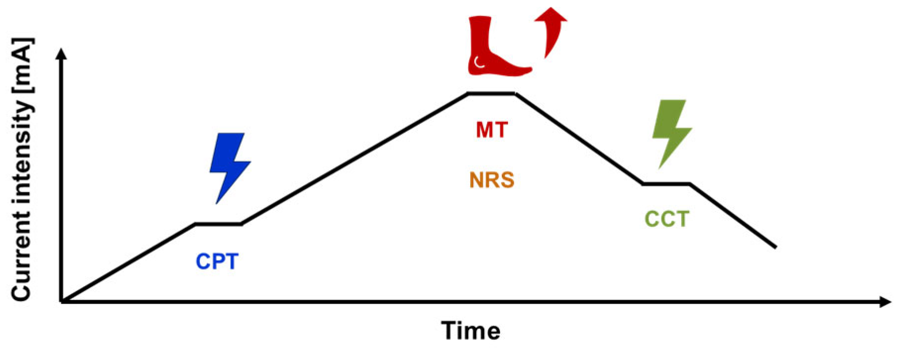 Biomedicines 11 01931 g003