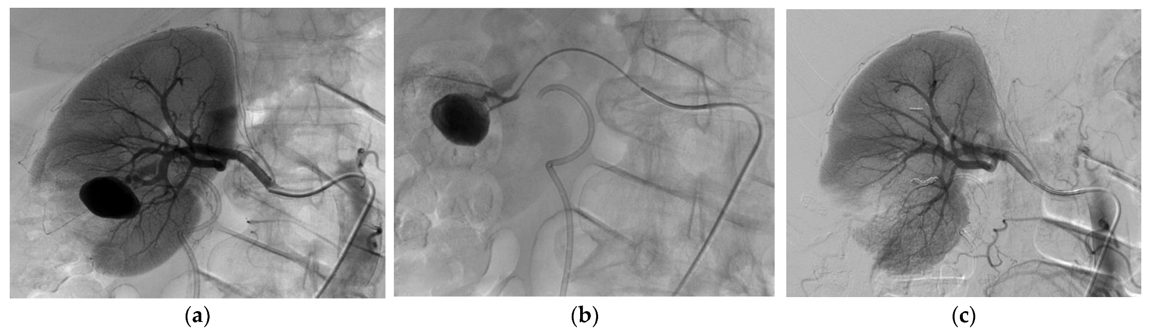 Biomedicines 11 01935 g001 Biomedicines 11 01935 g001