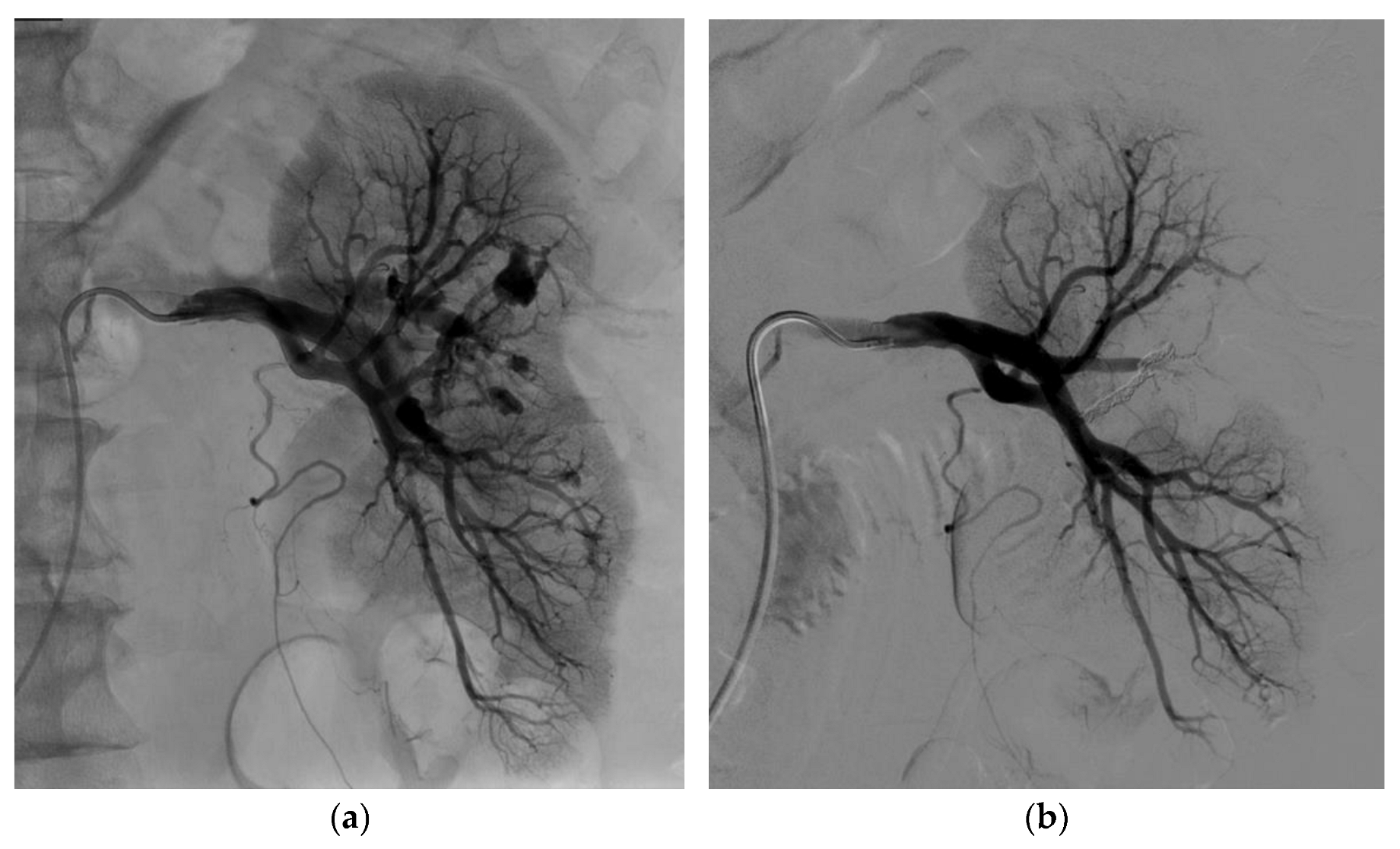 Biomedicines 11 01935 g004 Biomedicines 11 01935 g004