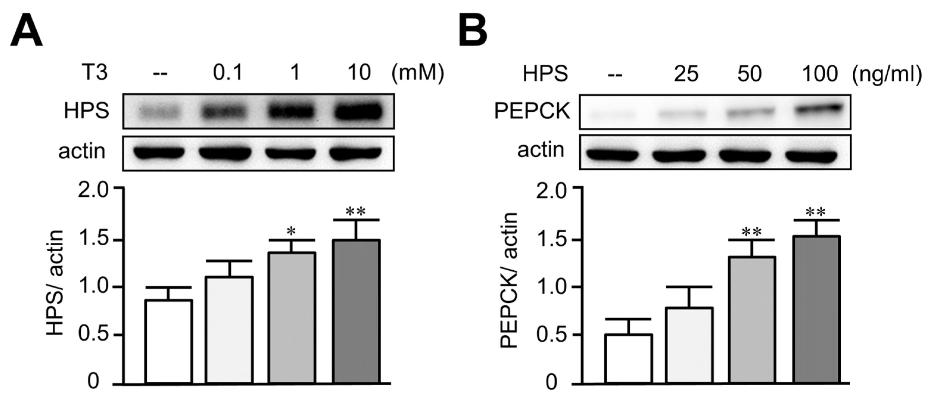 Biomedicines 11 01936 g002 Biomedicines 11 01936 g002