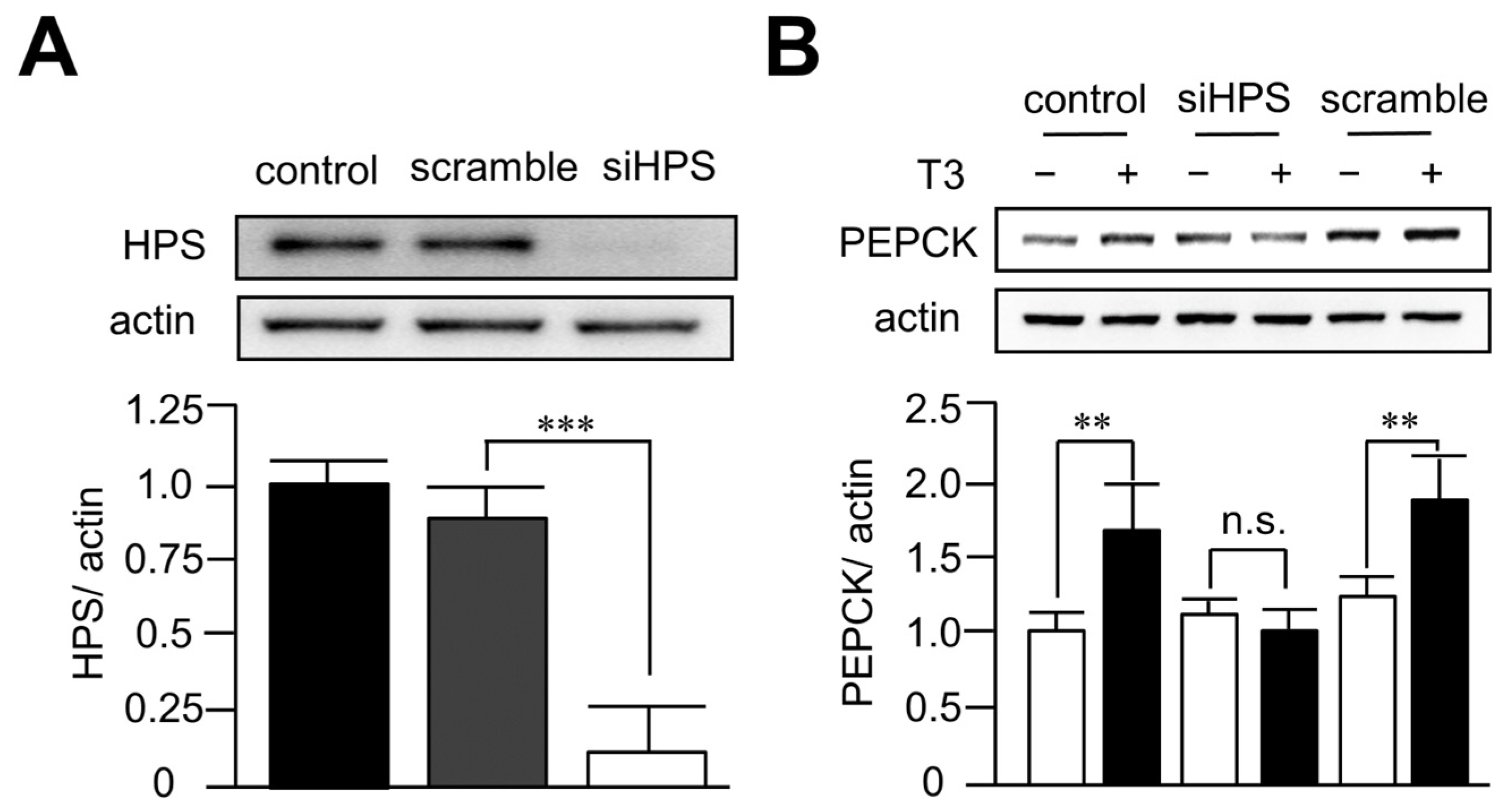 Biomedicines 11 01936 g004 Biomedicines 11 01936 g004