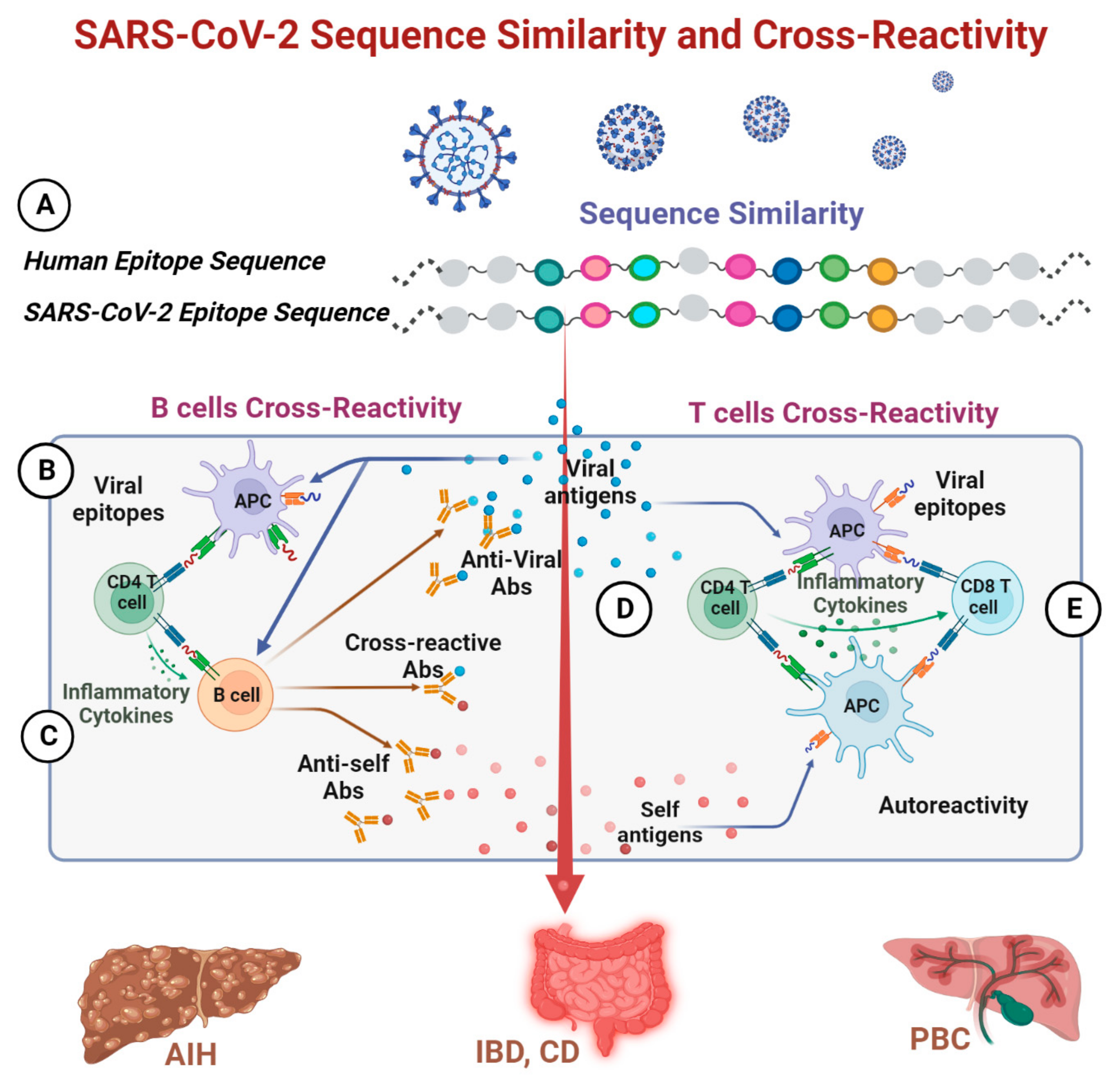 Biomedicines 11 01937 g002 Biomedicines 11 01937 g002