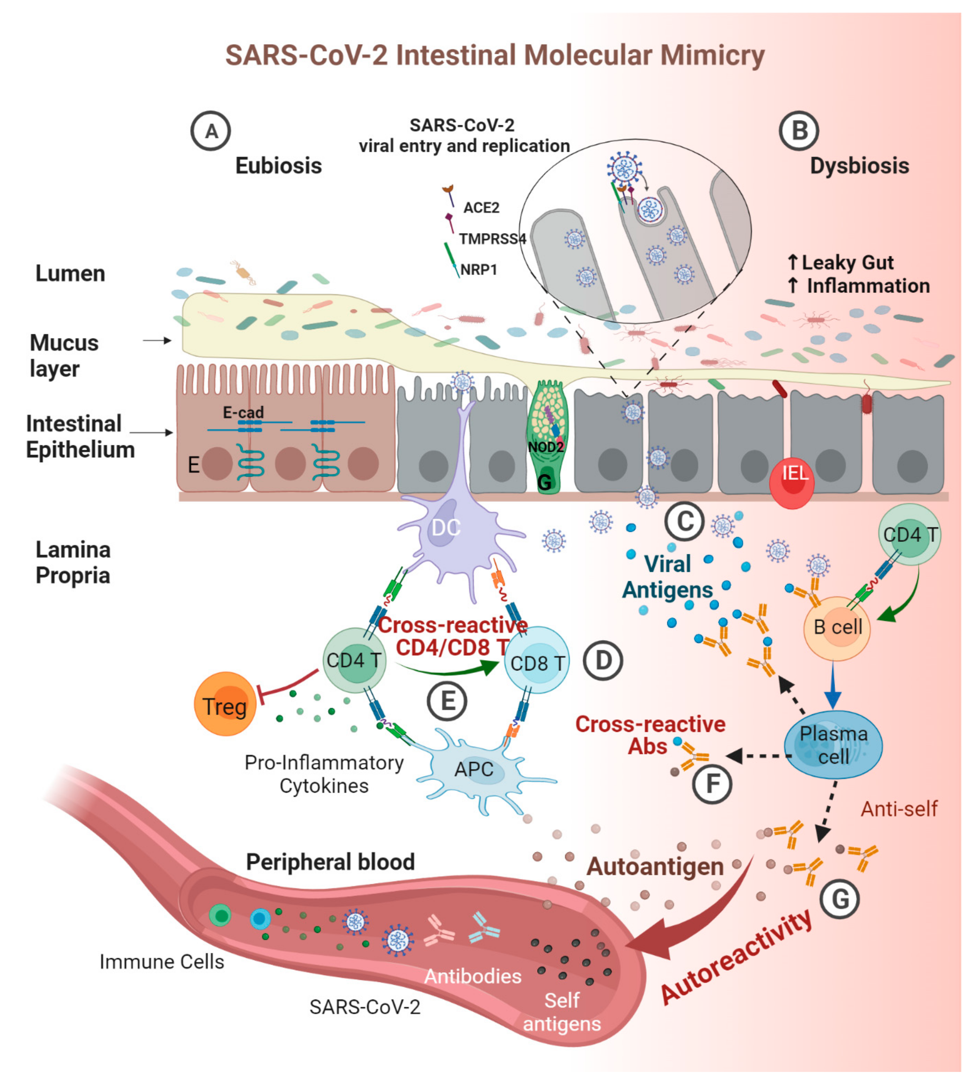 Biomedicines 11 01937 g003 Biomedicines 11 01937 g003