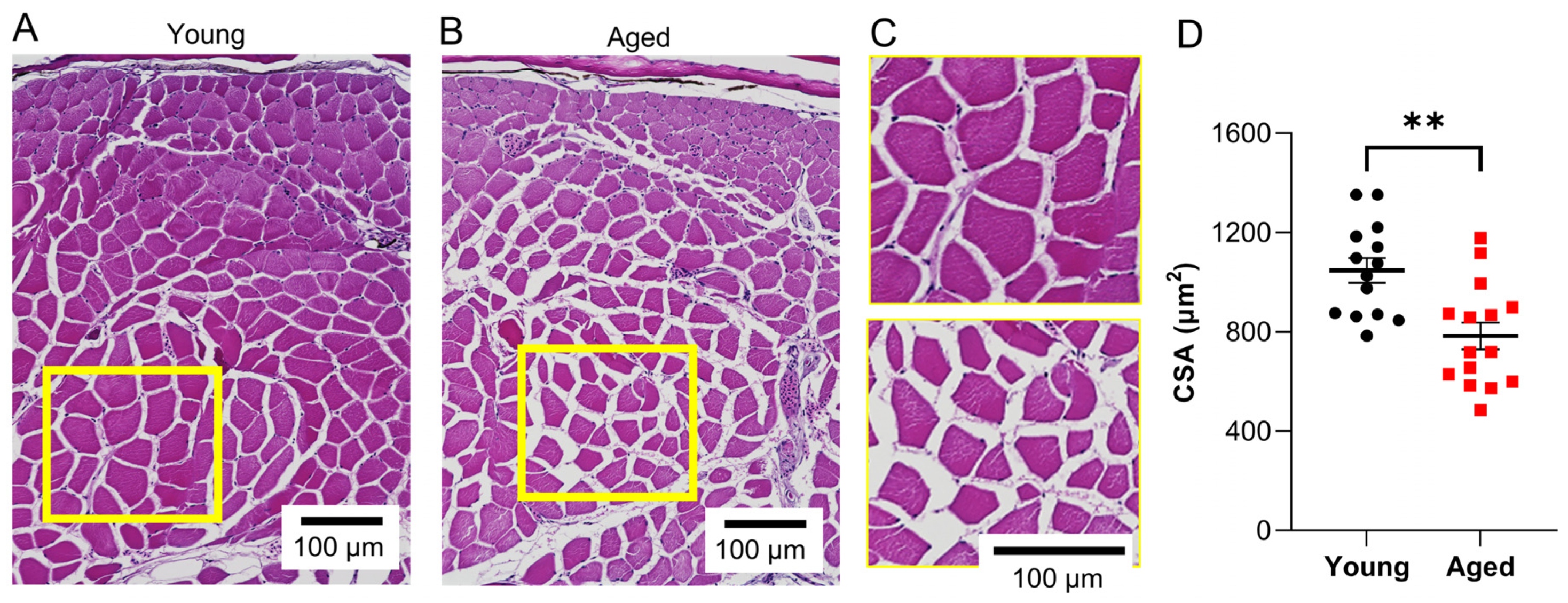 Biomedicines 11 01938 g003