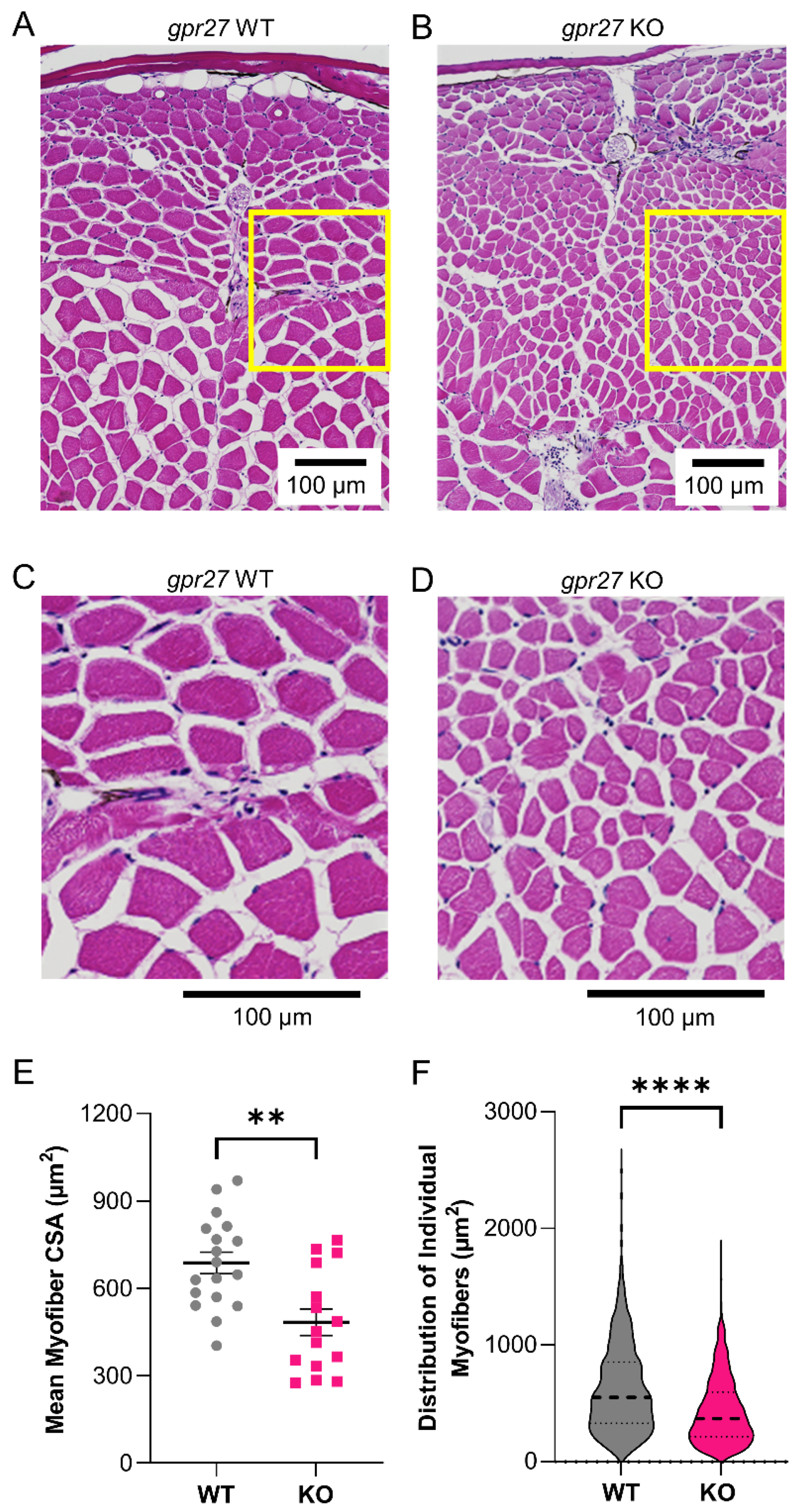 Biomedicines 11 01938 g005