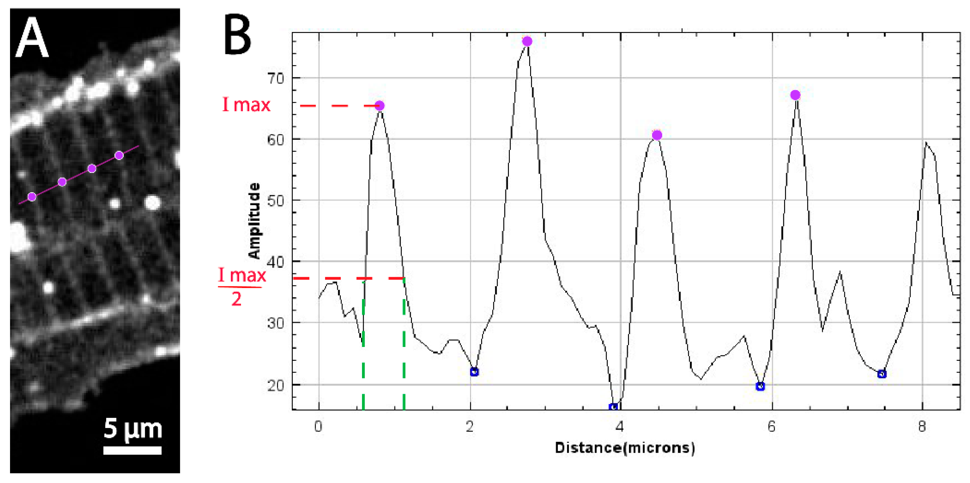 Biomedicines 11 01941 g004