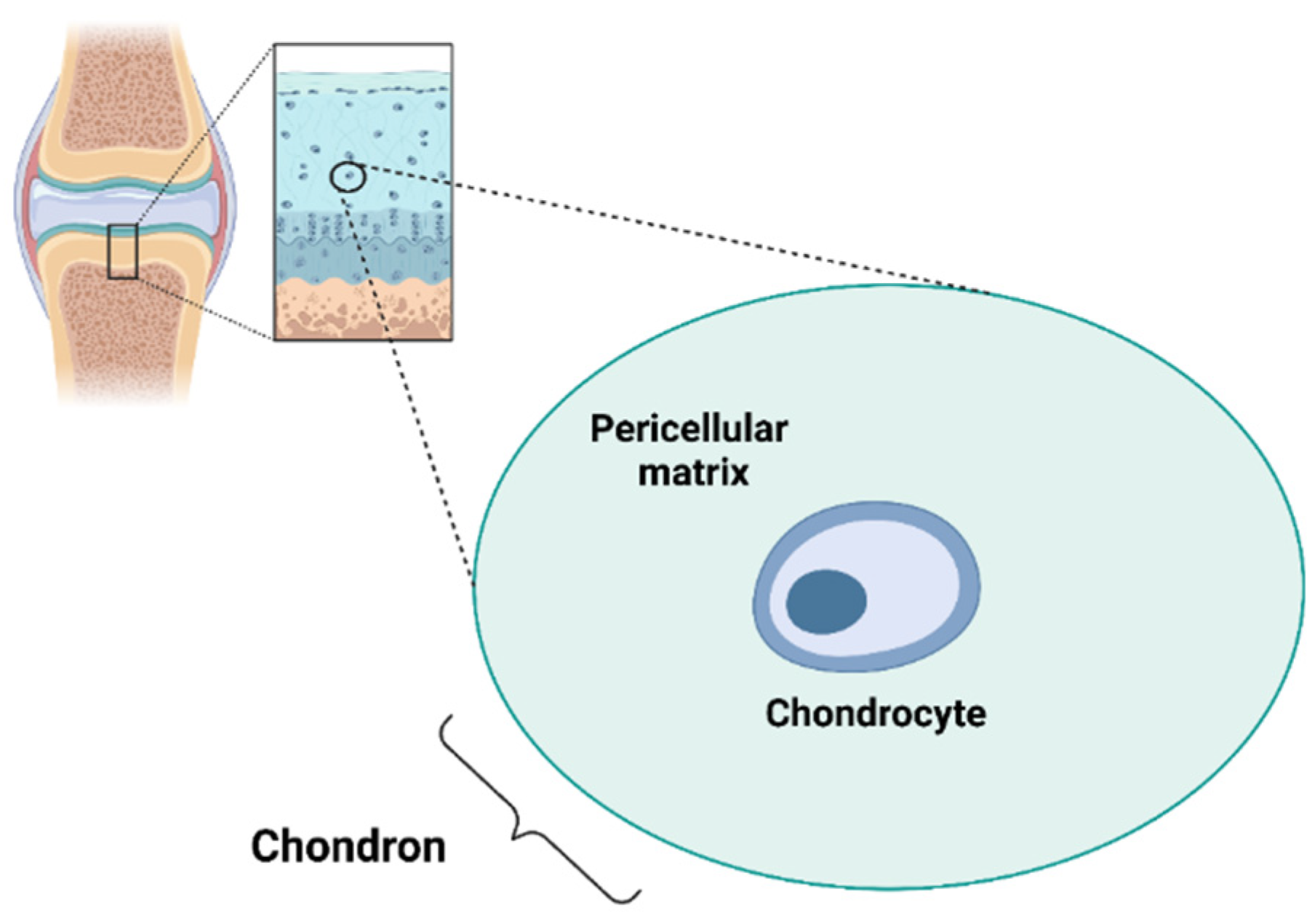 Biomedicines 11 01942 g001 Biomedicines 11 01942 g001
