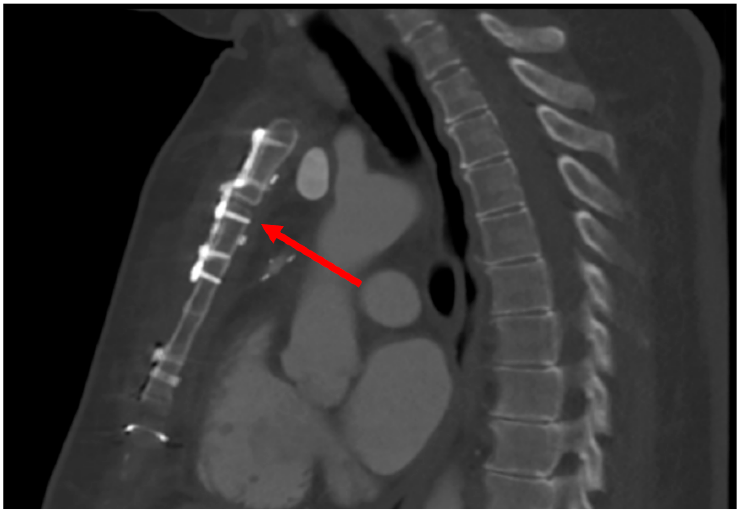 Biomedicines 11 01946 g004