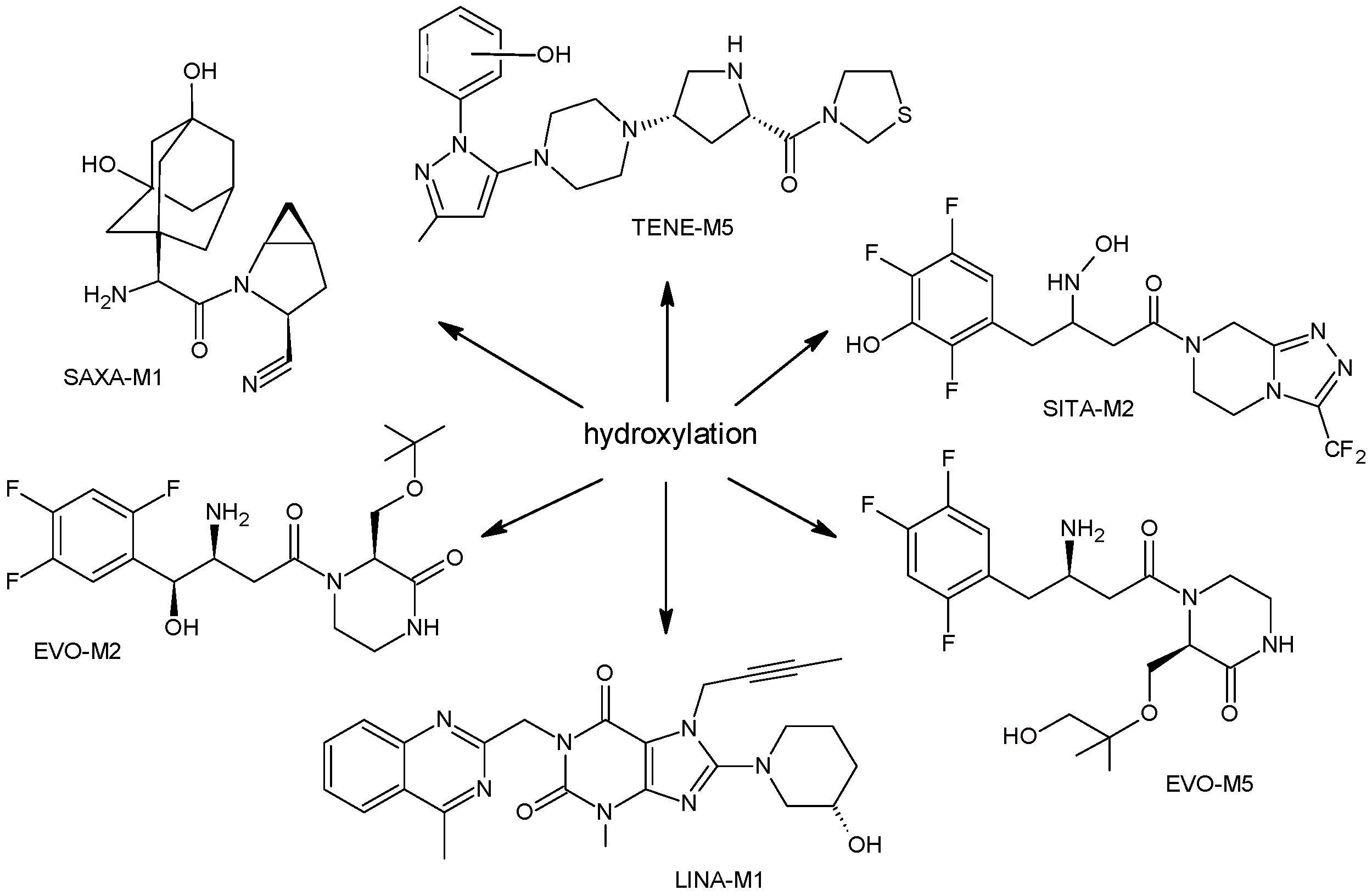 Biomedicines 11 01956 g002 Biomedicines 11 01956 g002