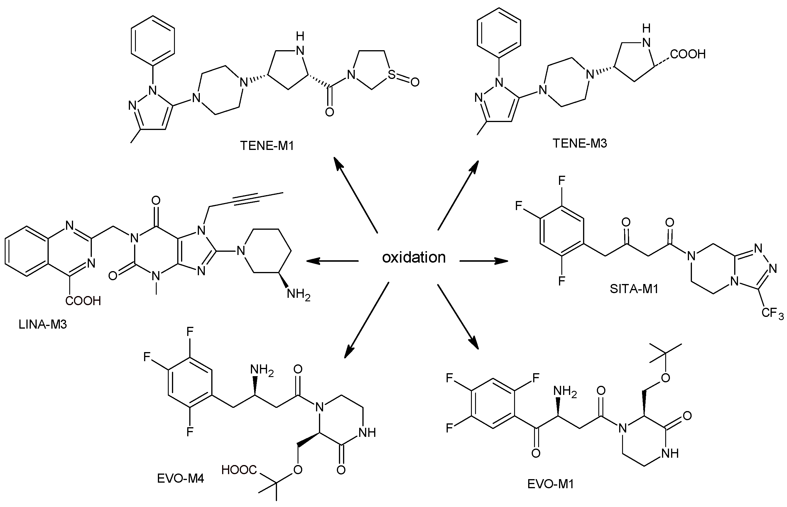 Biomedicines 11 01956 g003 Biomedicines 11 01956 g003