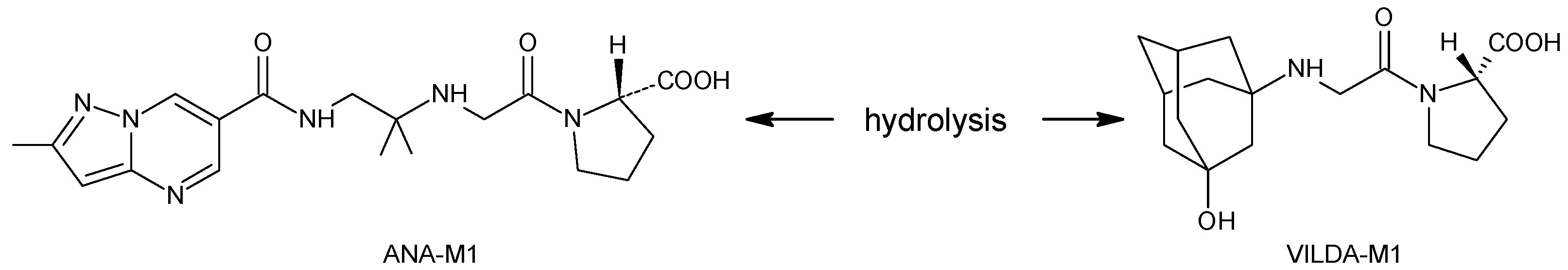 Biomedicines 11 01956 g004 Biomedicines 11 01956 g004