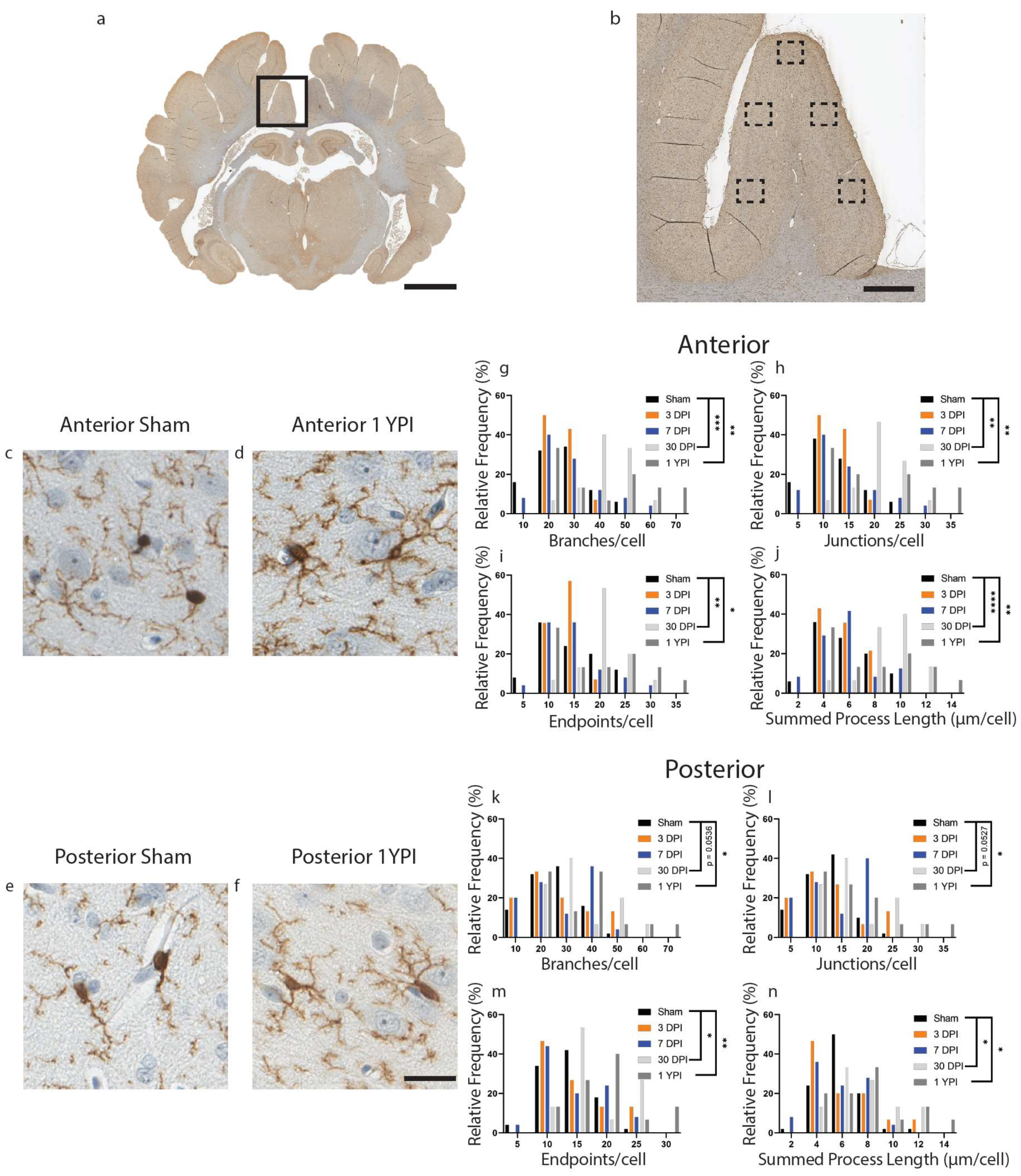 Biomedicines 11 01960 g001