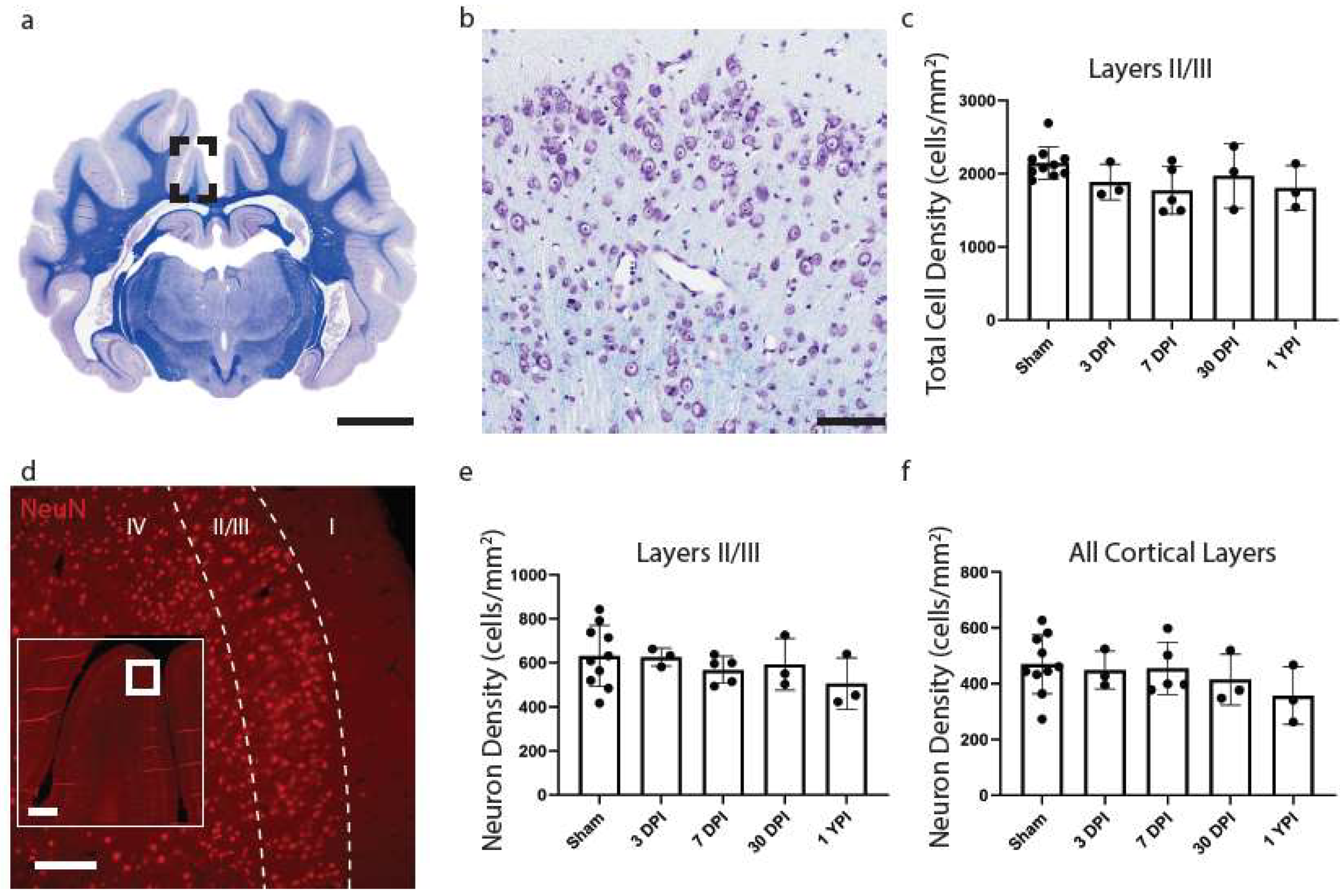 Biomedicines 11 01960 g003