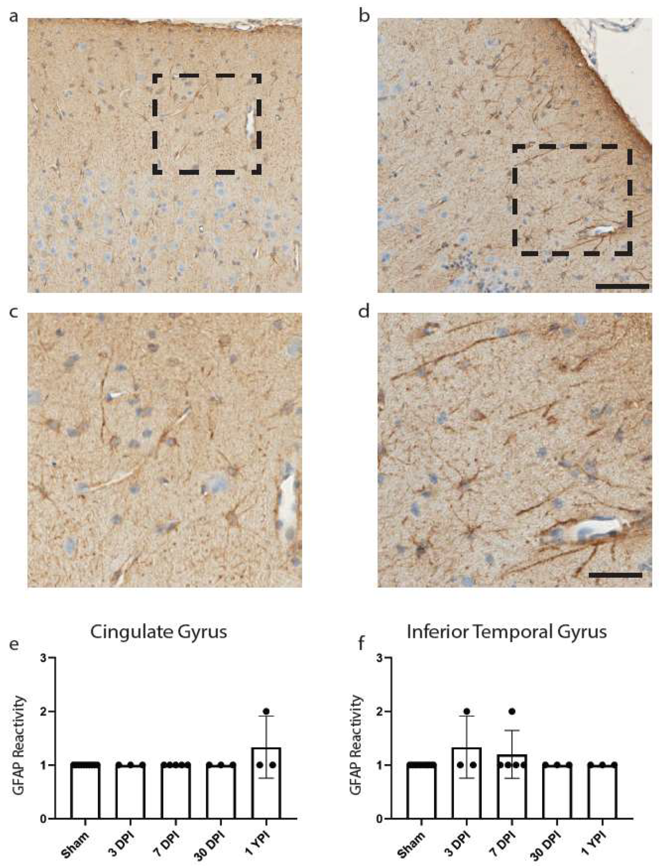 Biomedicines 11 01960 g004