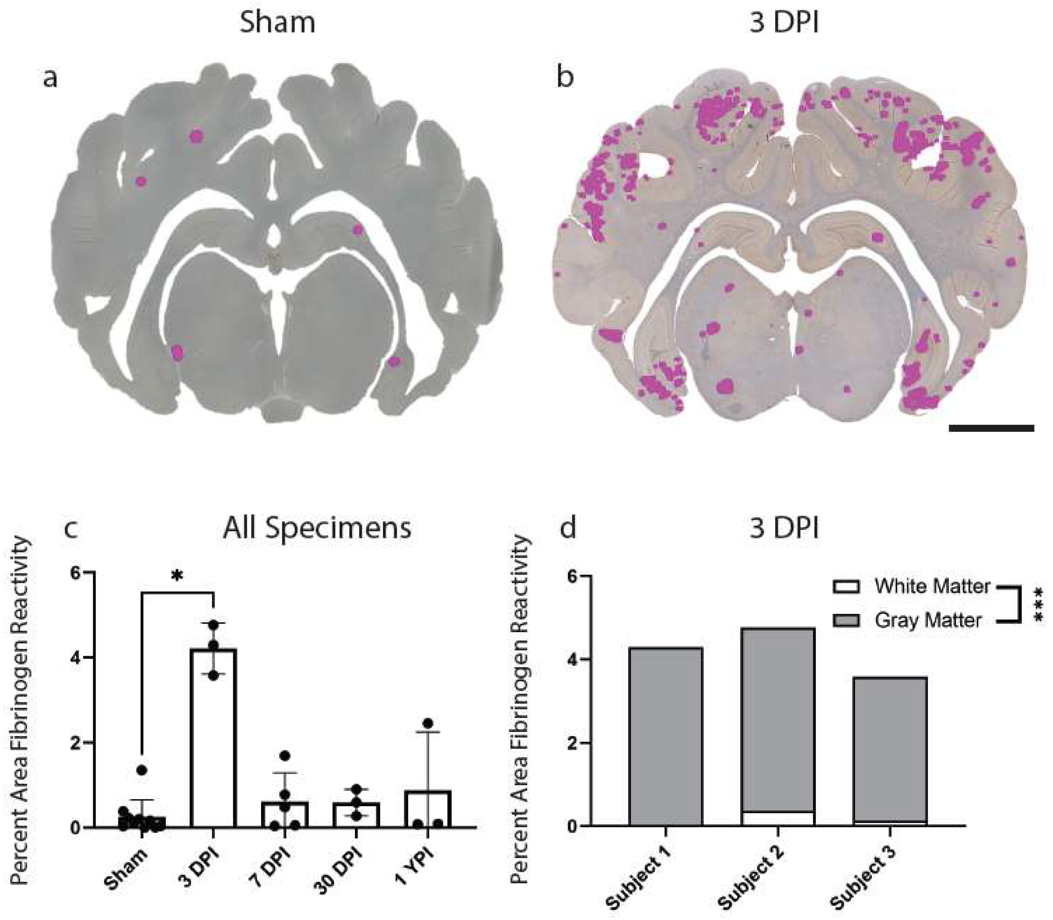 Biomedicines 11 01960 g005