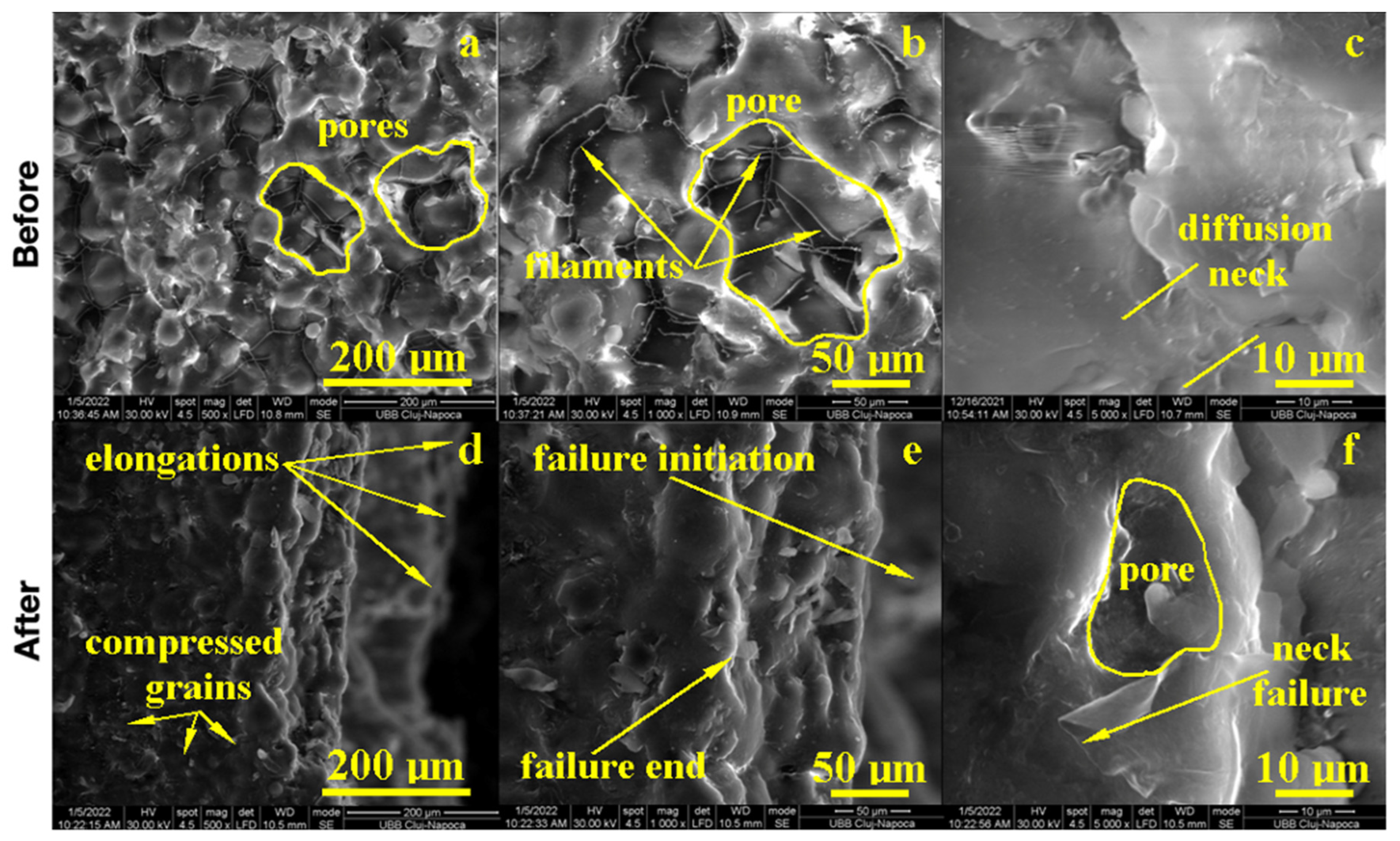 Biomedicines 11 01965 g004