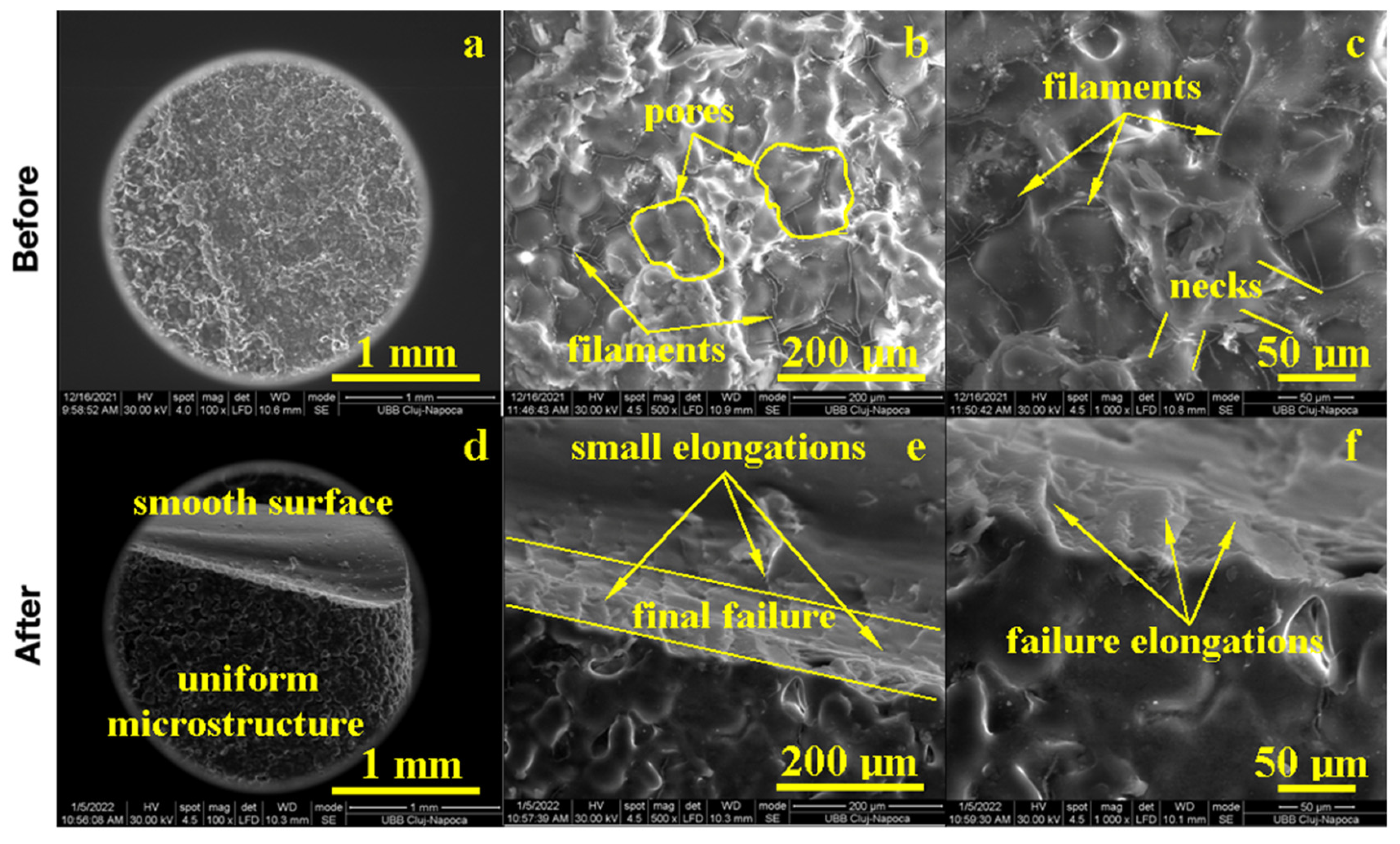 Biomedicines 11 01965 g005