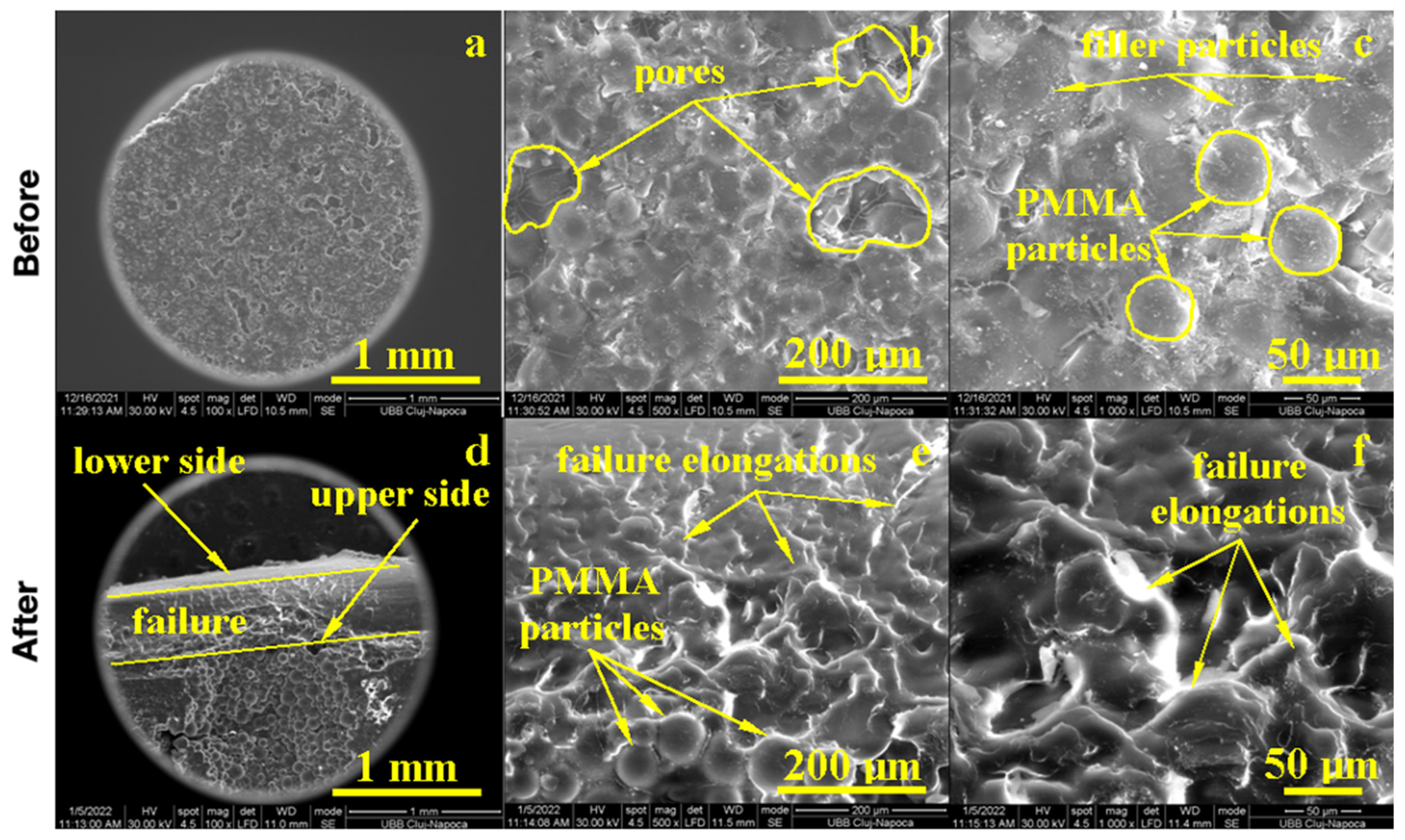 Biomedicines 11 01965 g006