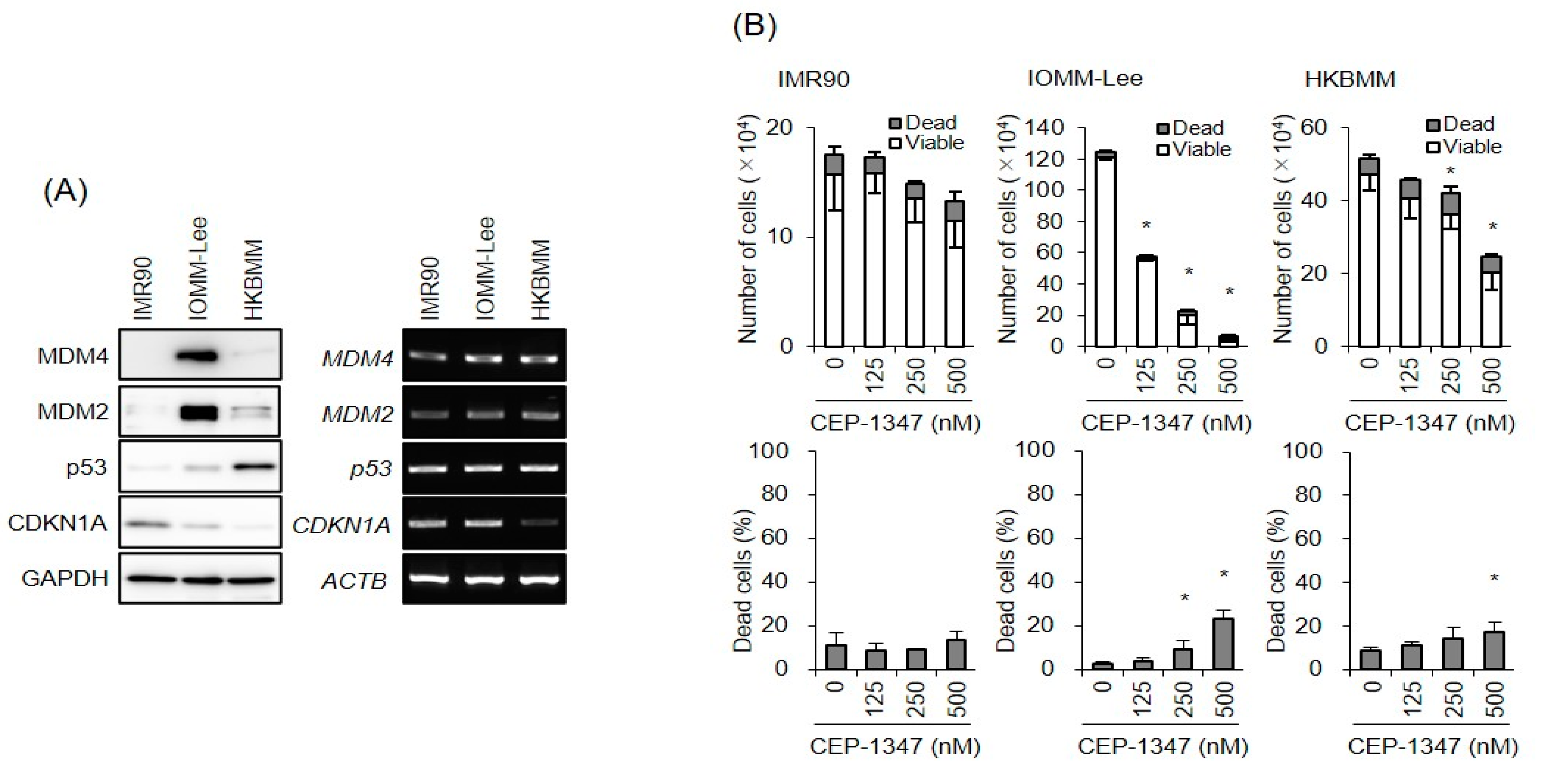 Biomedicines 11 01967 g001