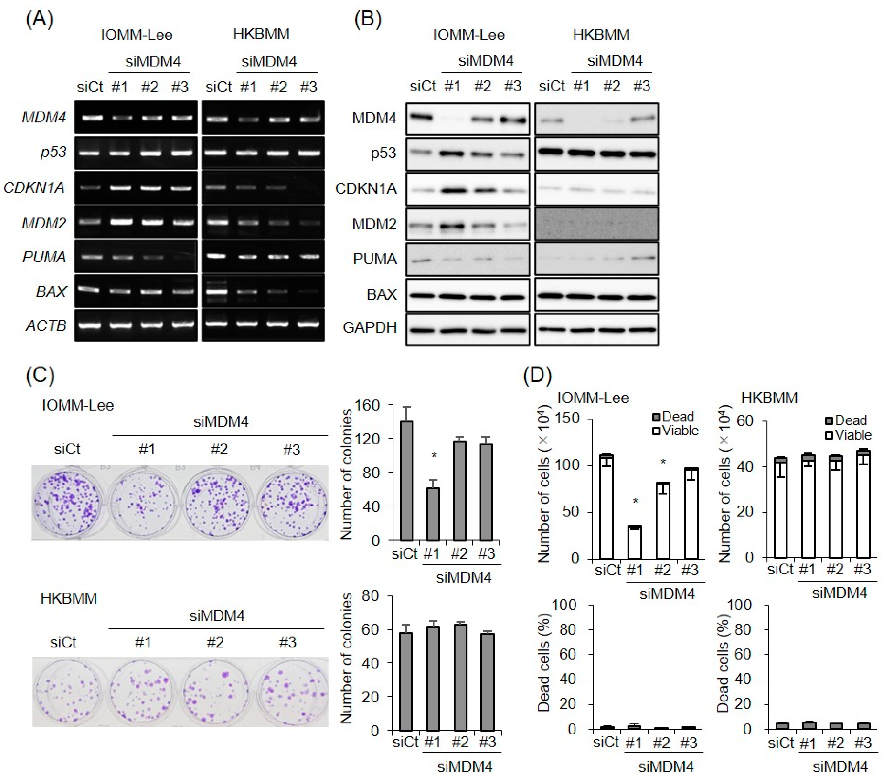 Biomedicines 11 01967 g006
