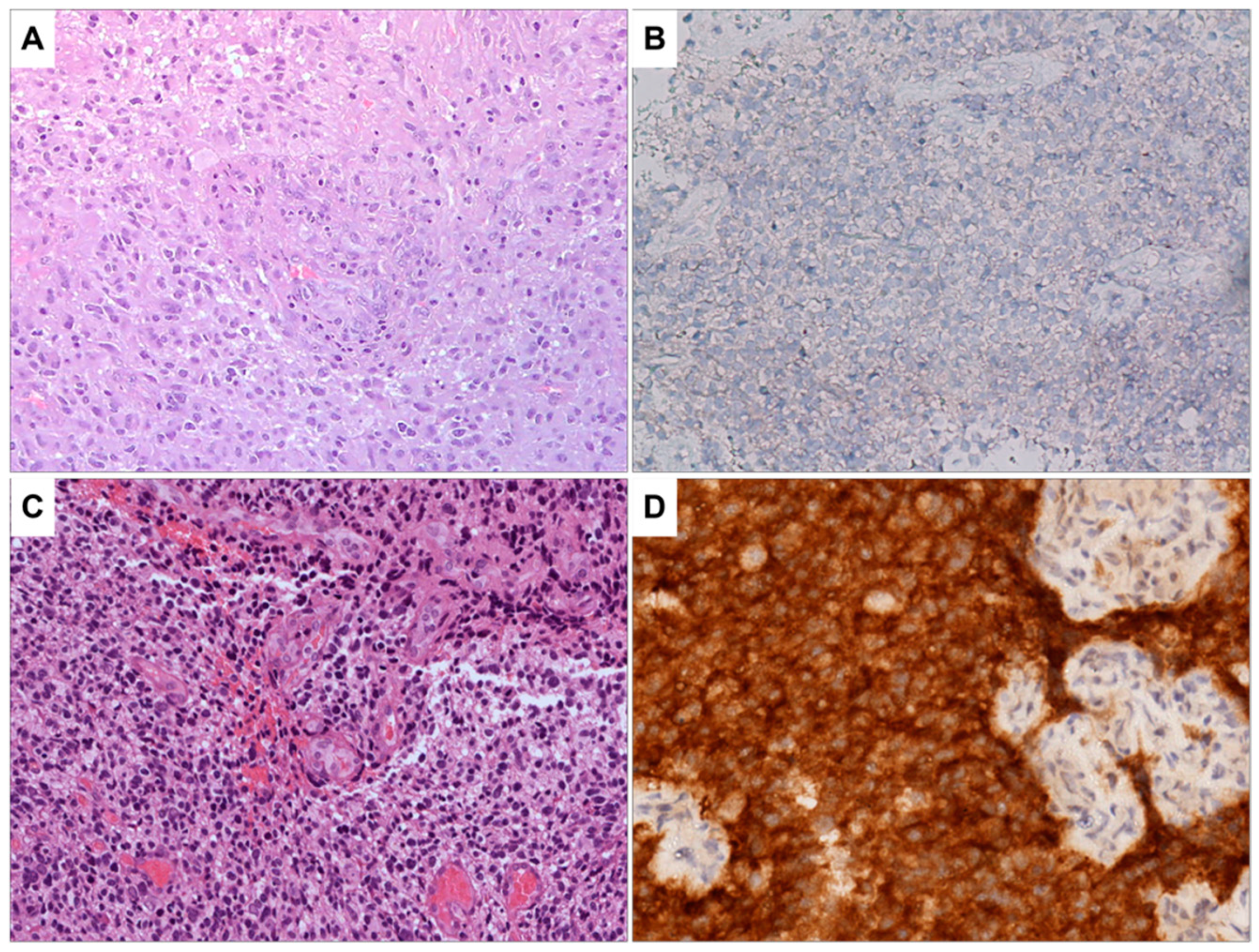 Biomedicines 11 01968 g001 Biomedicines 11 01968 g001