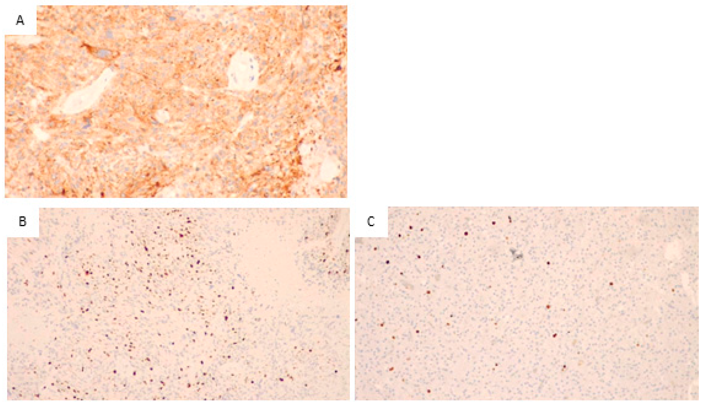 Biomedicines 11 01968 g002 Biomedicines 11 01968 g002