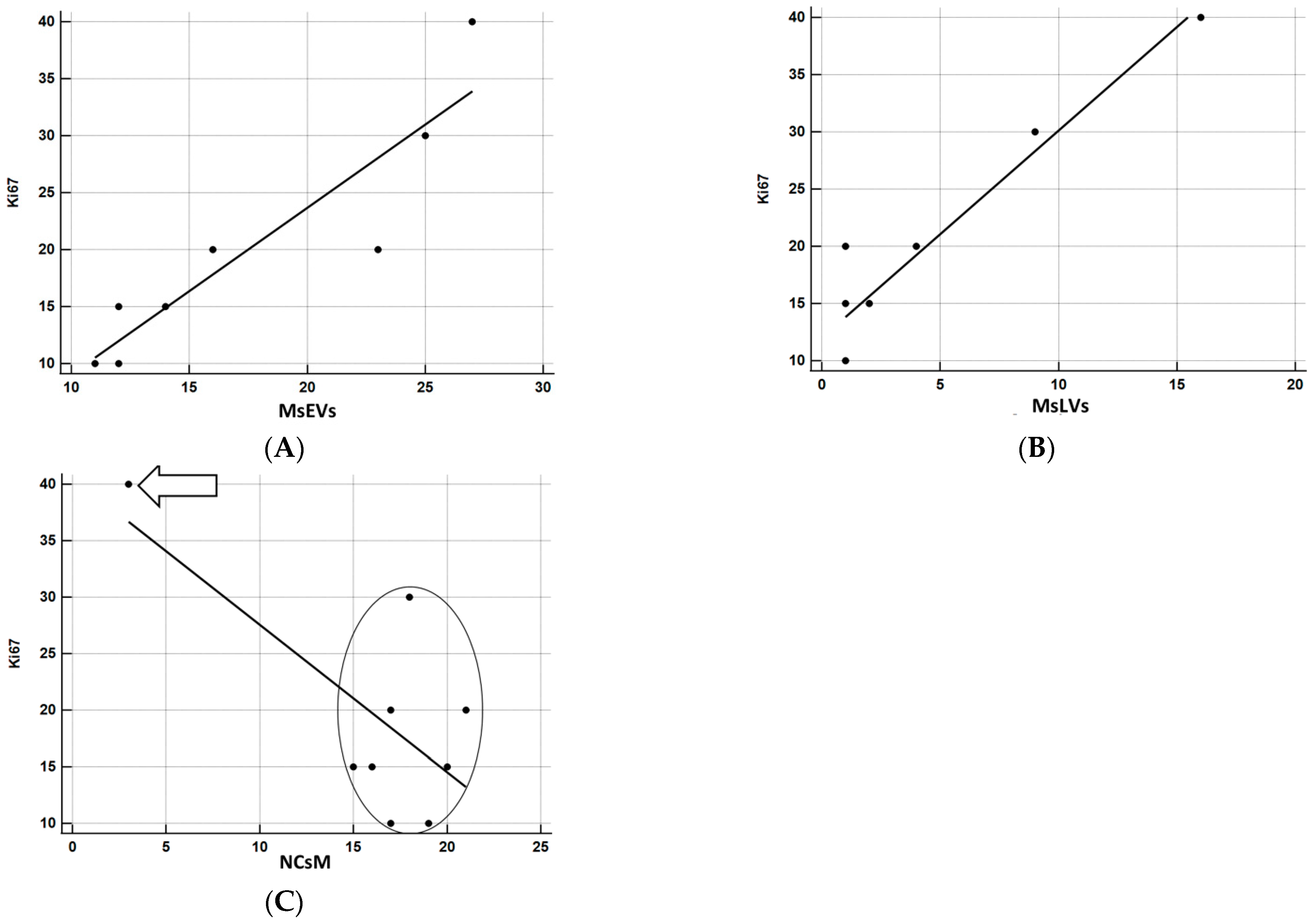 Biomedicines 11 01968 g014 Biomedicines 11 01968 g014
