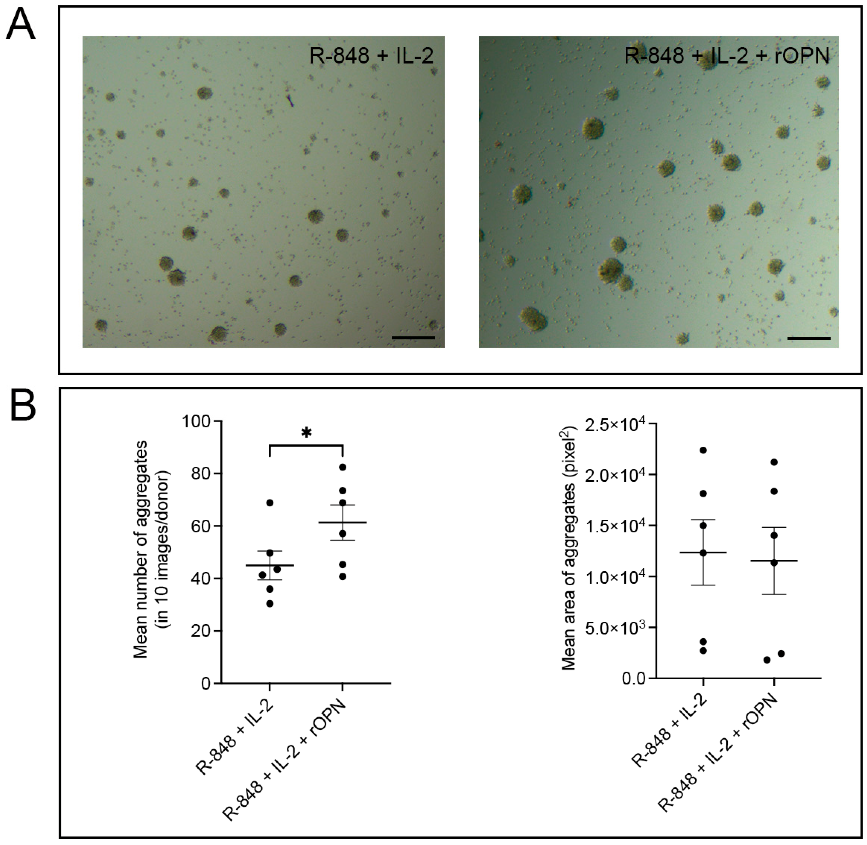 Biomedicines 11 01969 g004