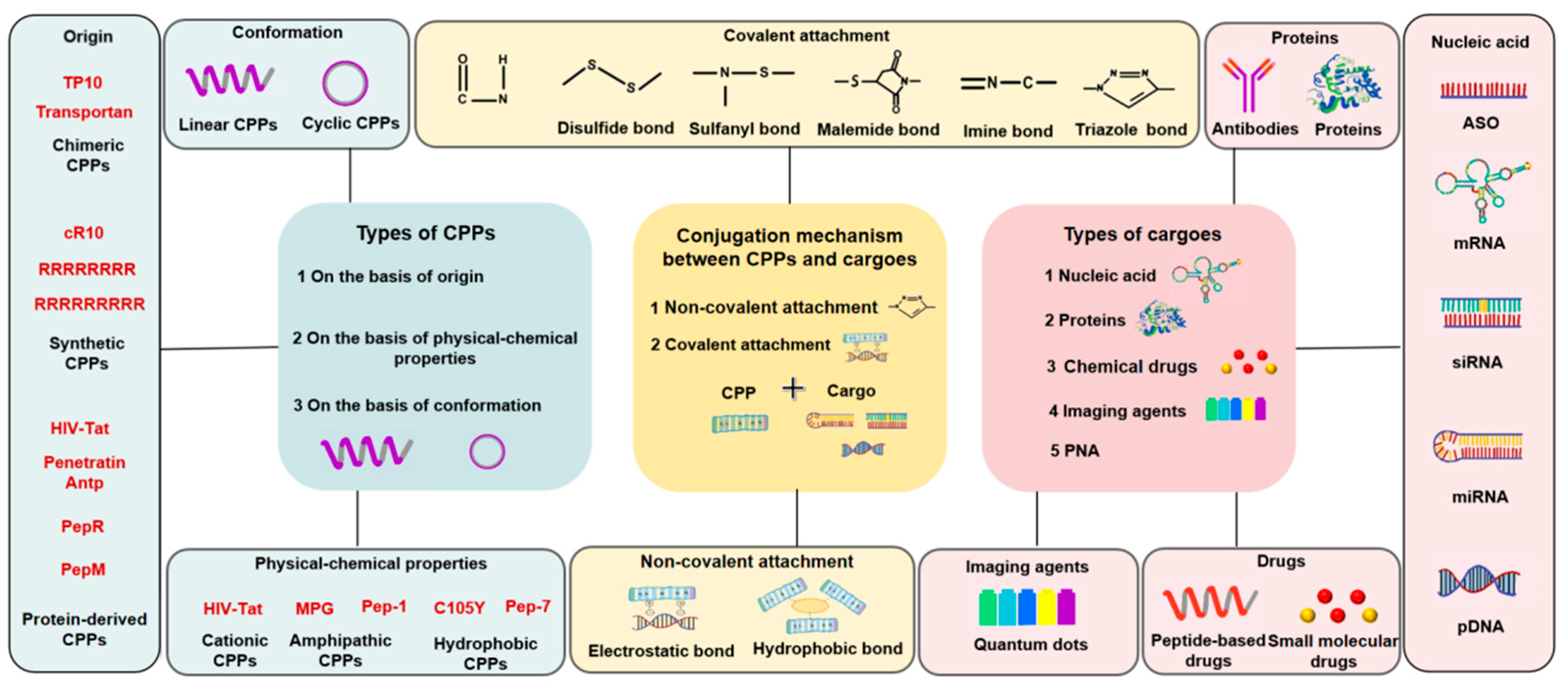 Biomedicines 11 01971 g003